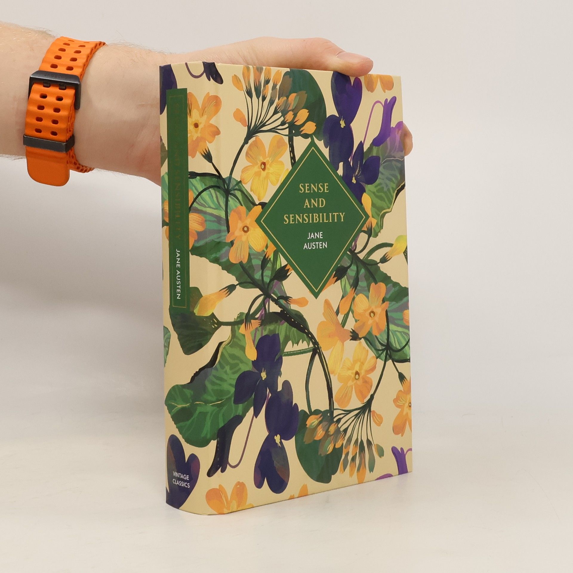 Jane Austen Sense and Sensibility: Deluxe Gift Edition