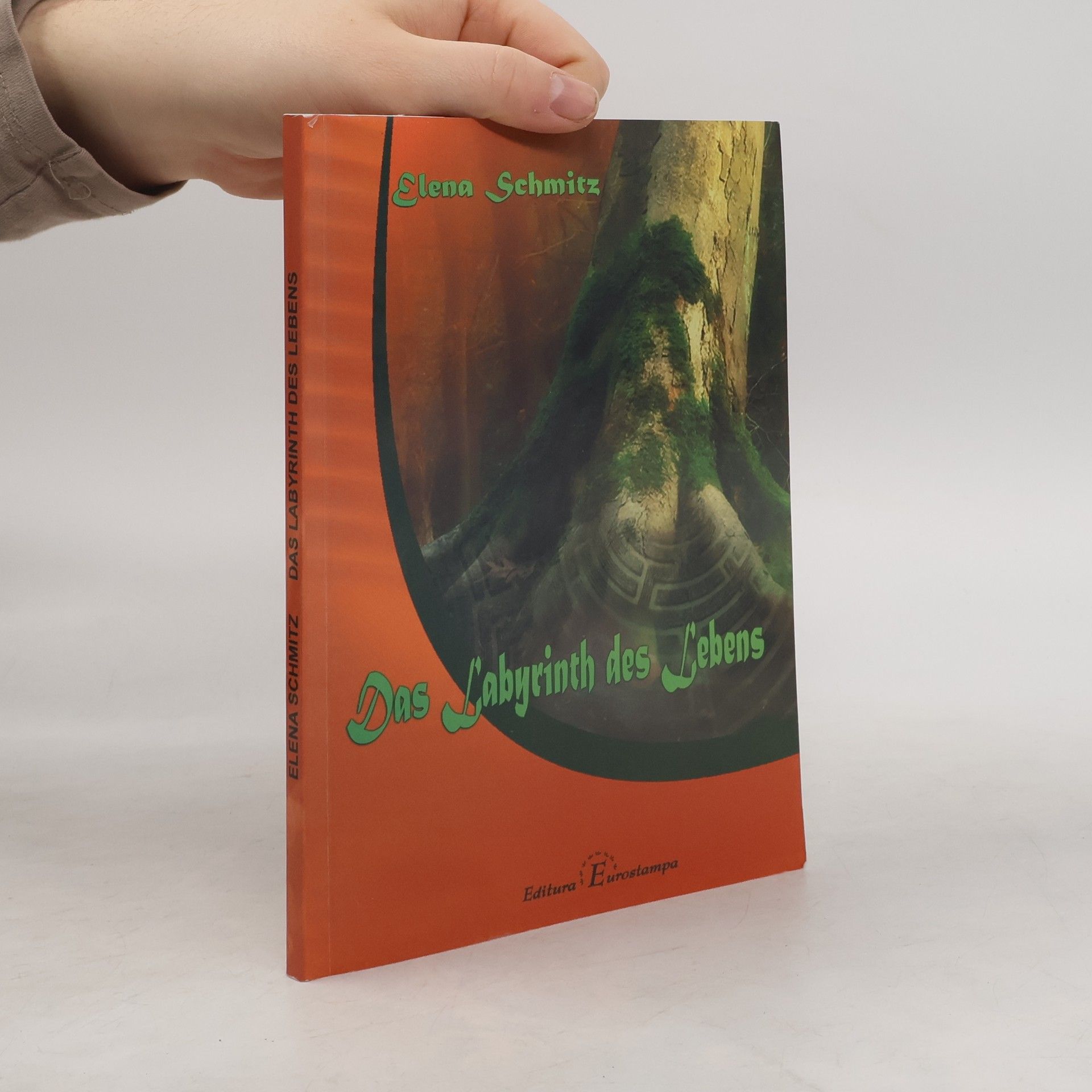 Elena Schmitz Das Labyrinth des Lebens