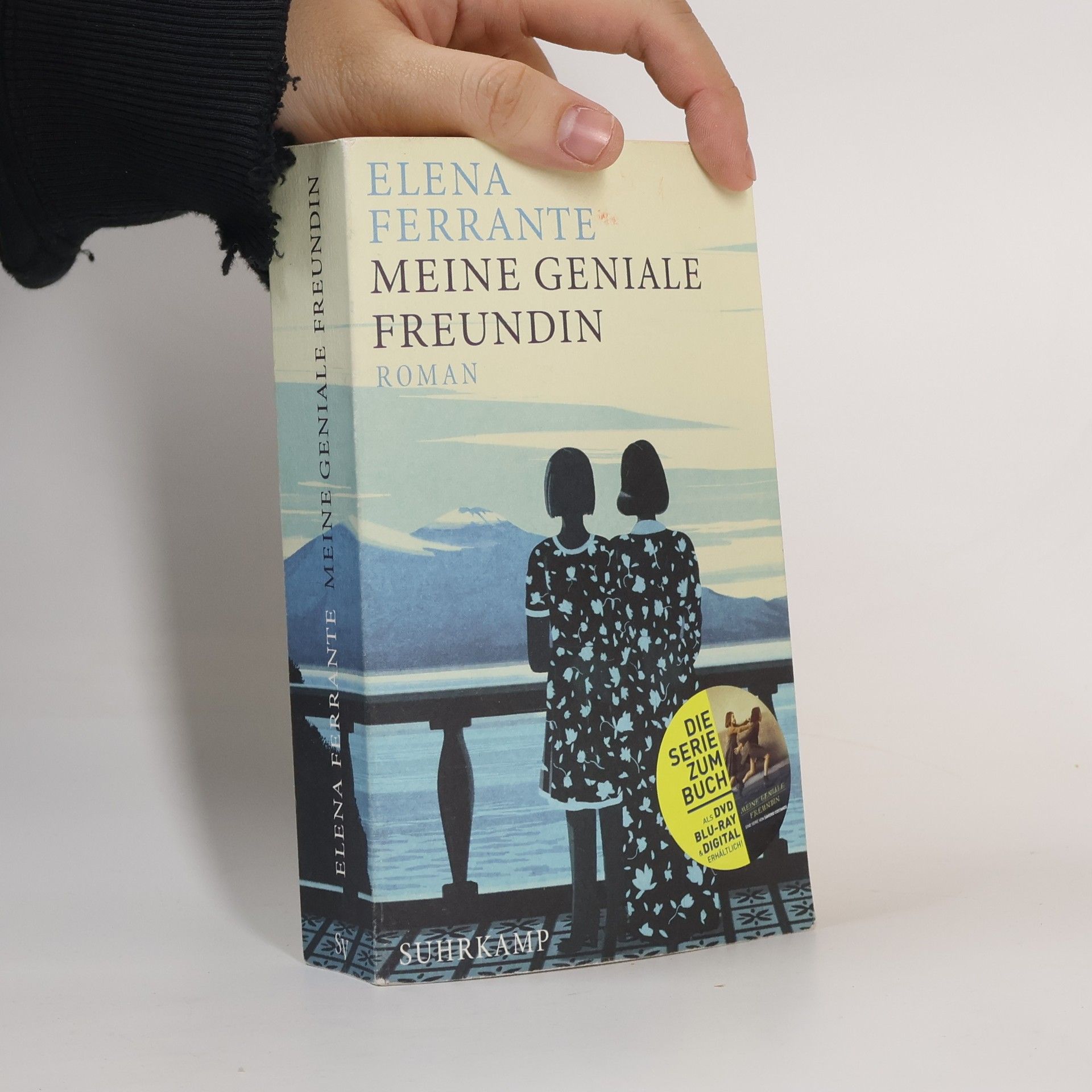 Elena Ferrante Meine geniale Freundin