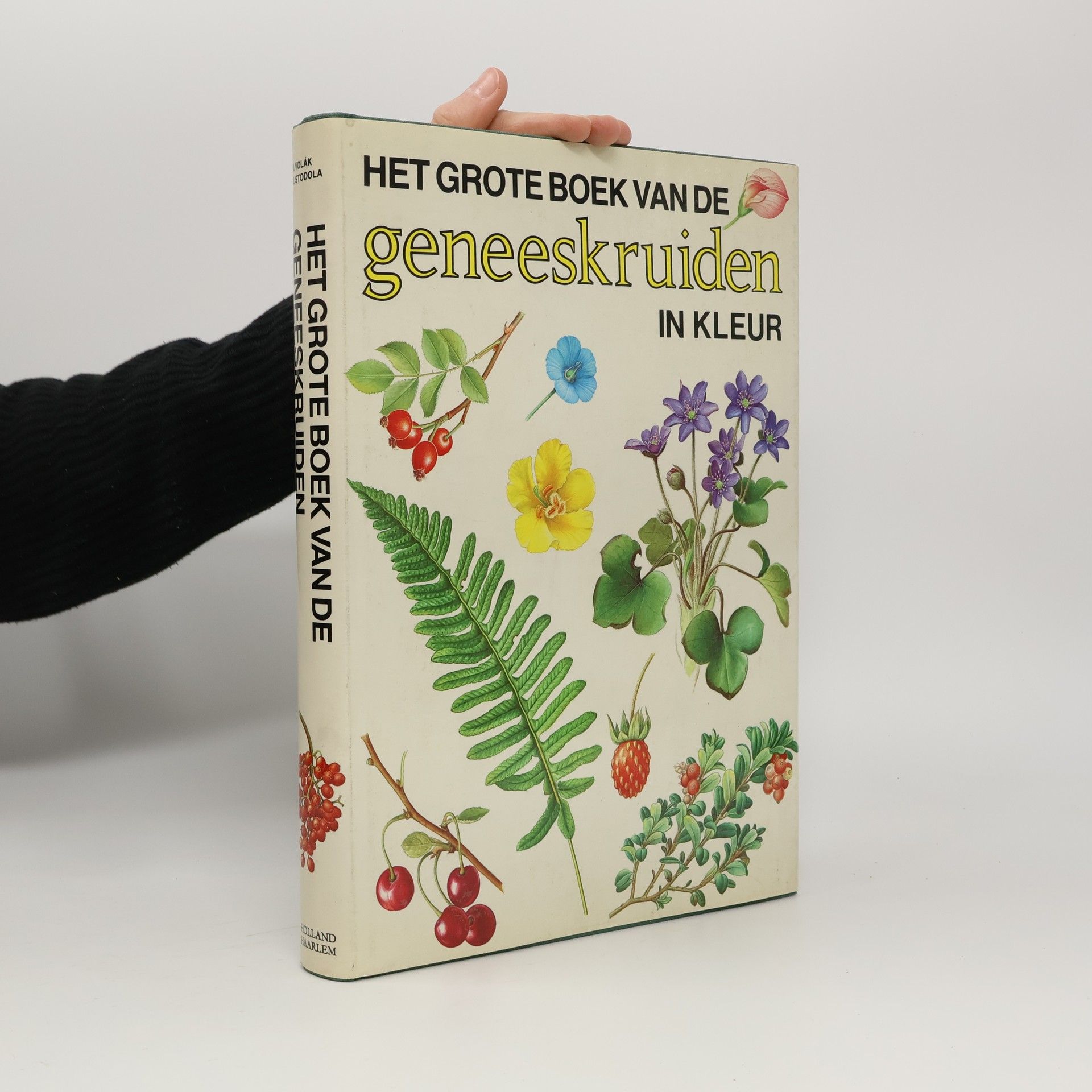 Collectif d'auteurs Het grote boek van de geneeskruiden