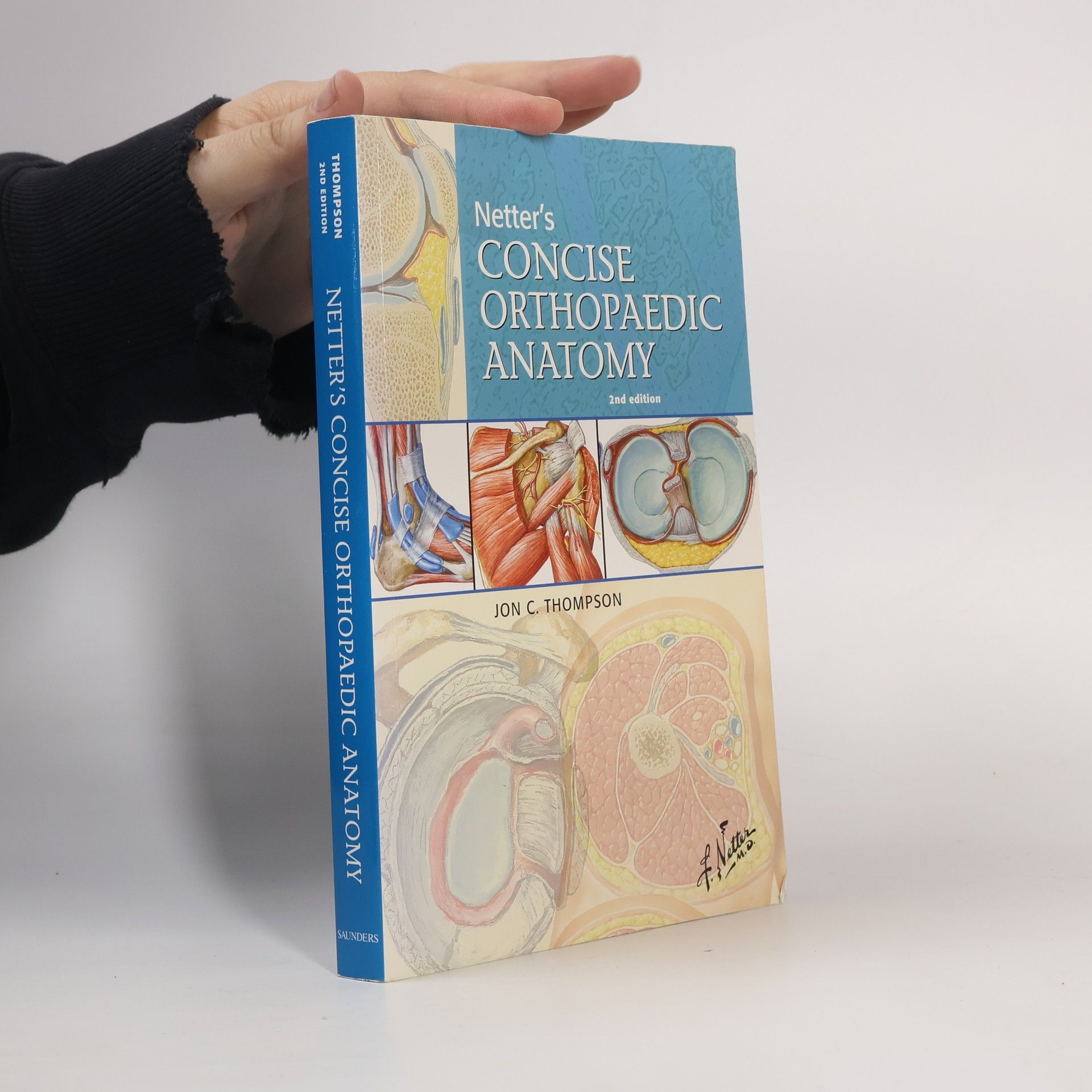 Thompson Jon C. Netter's Concise Orthopaedic Anatomy - 2nd Edition