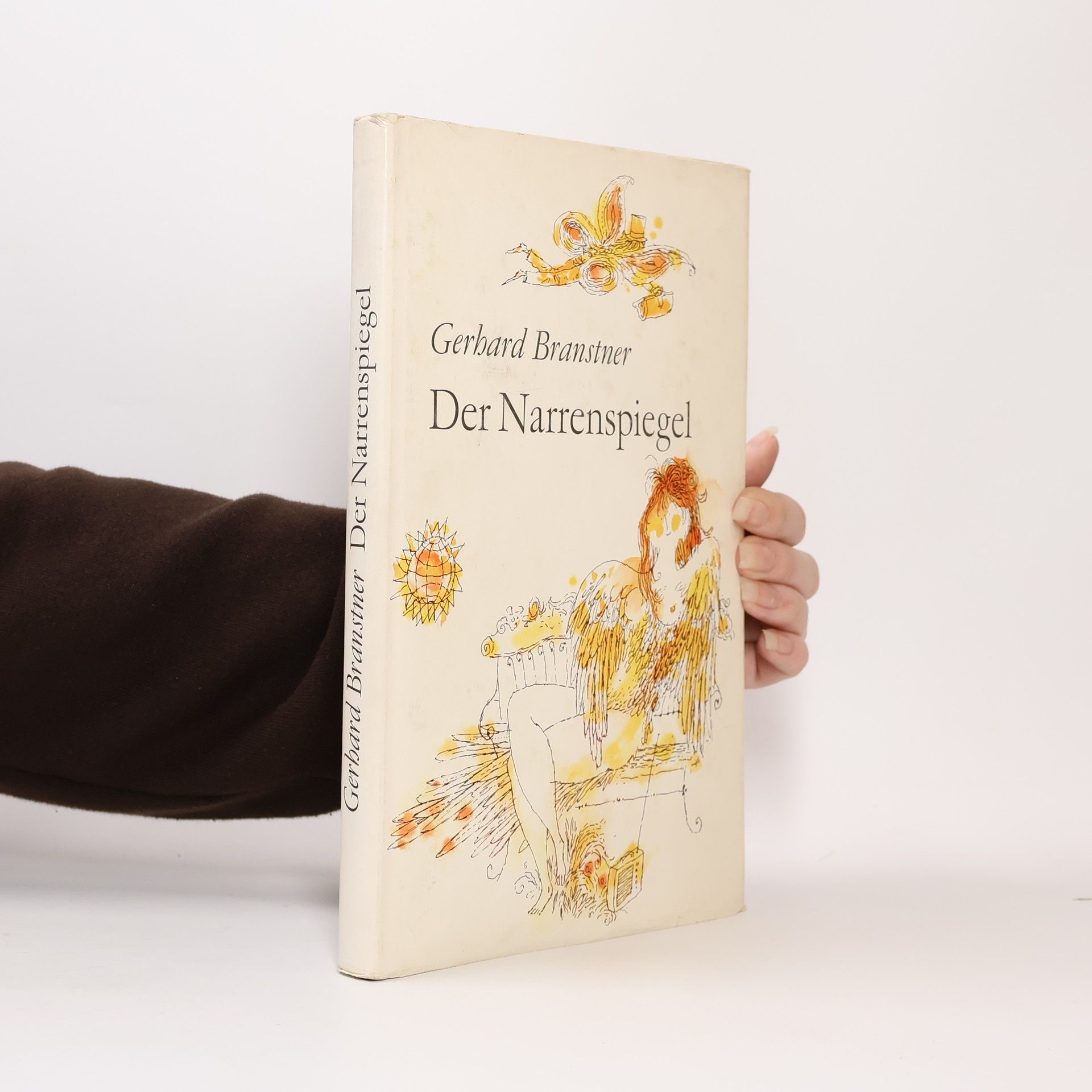 Gerhard Branstner Der Narrenspiegel