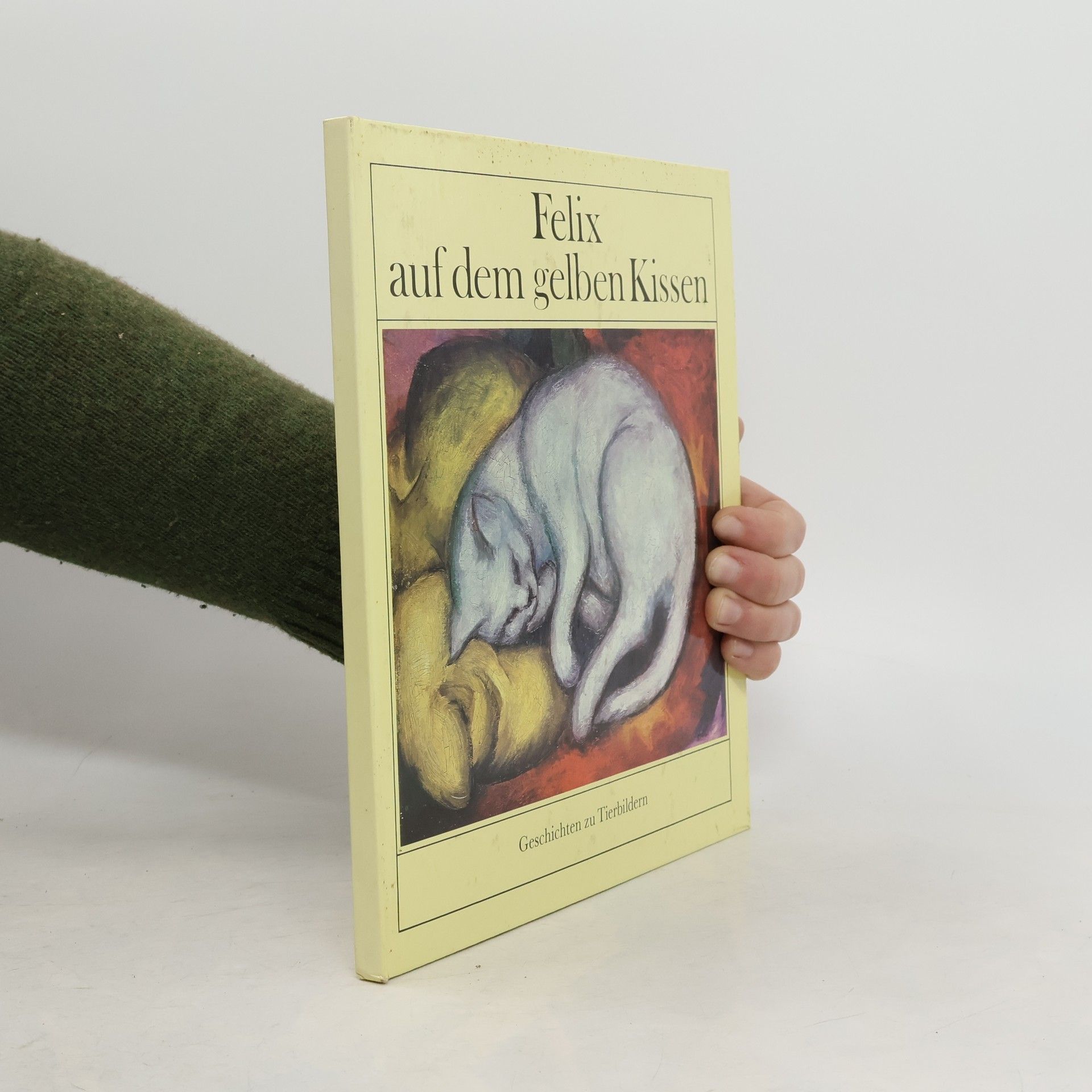 Martin Kloss Felix auf dem gelben Kissen