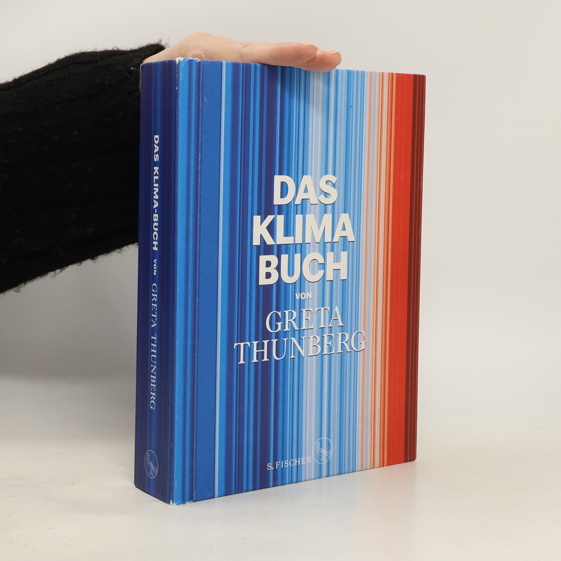 Greta Thunberg Das Klima-Buch von Greta Thunberg