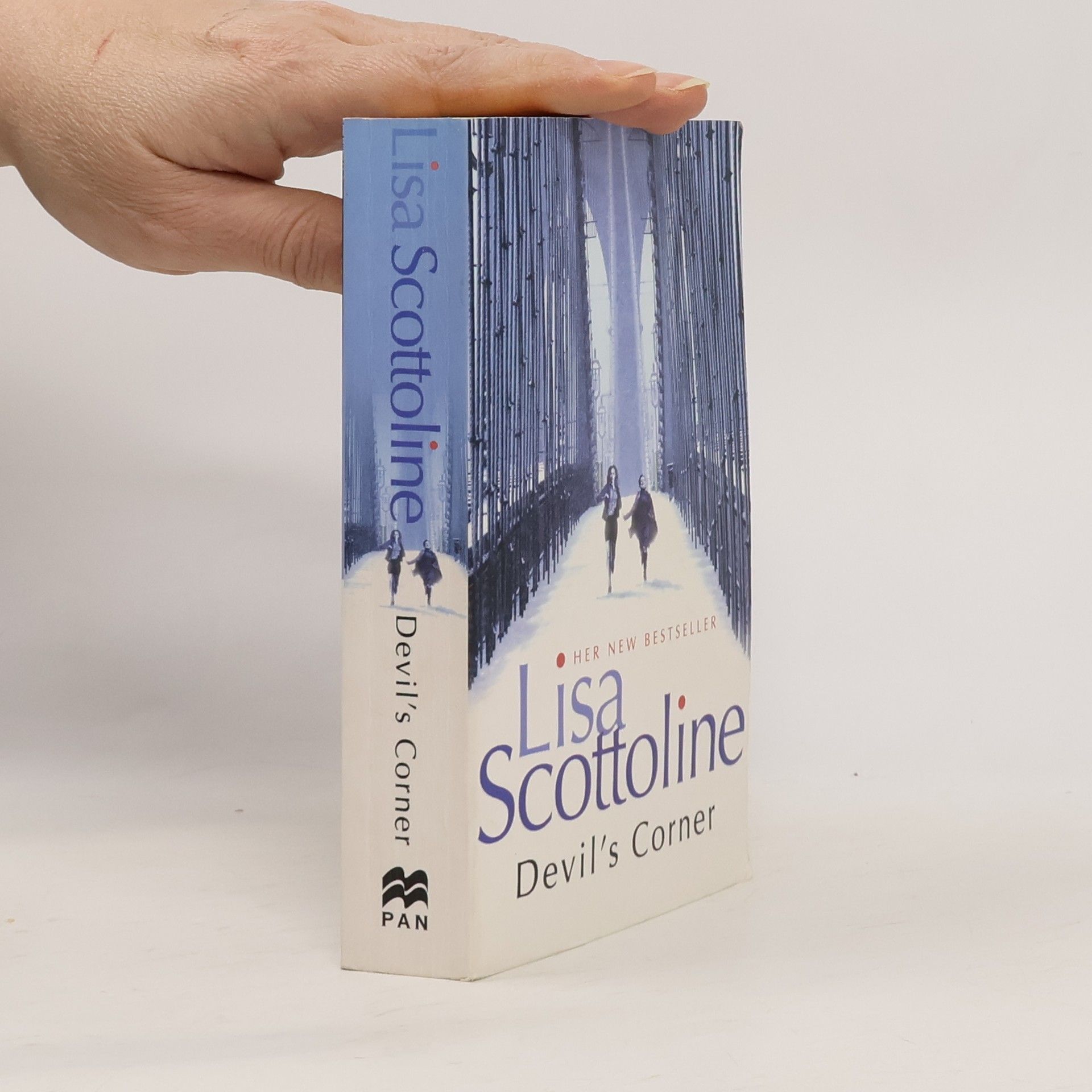 Lisa Scottoline Devil's Corner