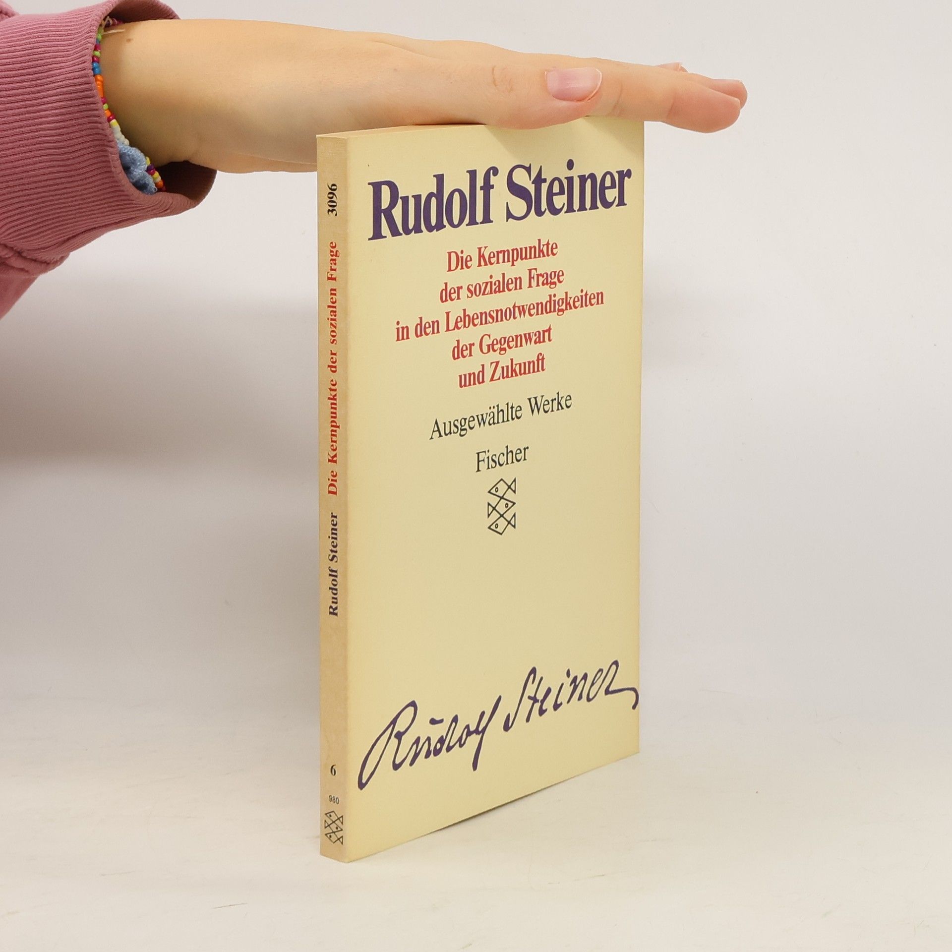 Rudolf Steiner Ausgewählte Werke - 6: Die Kernpunkte der sozialen Fragen
