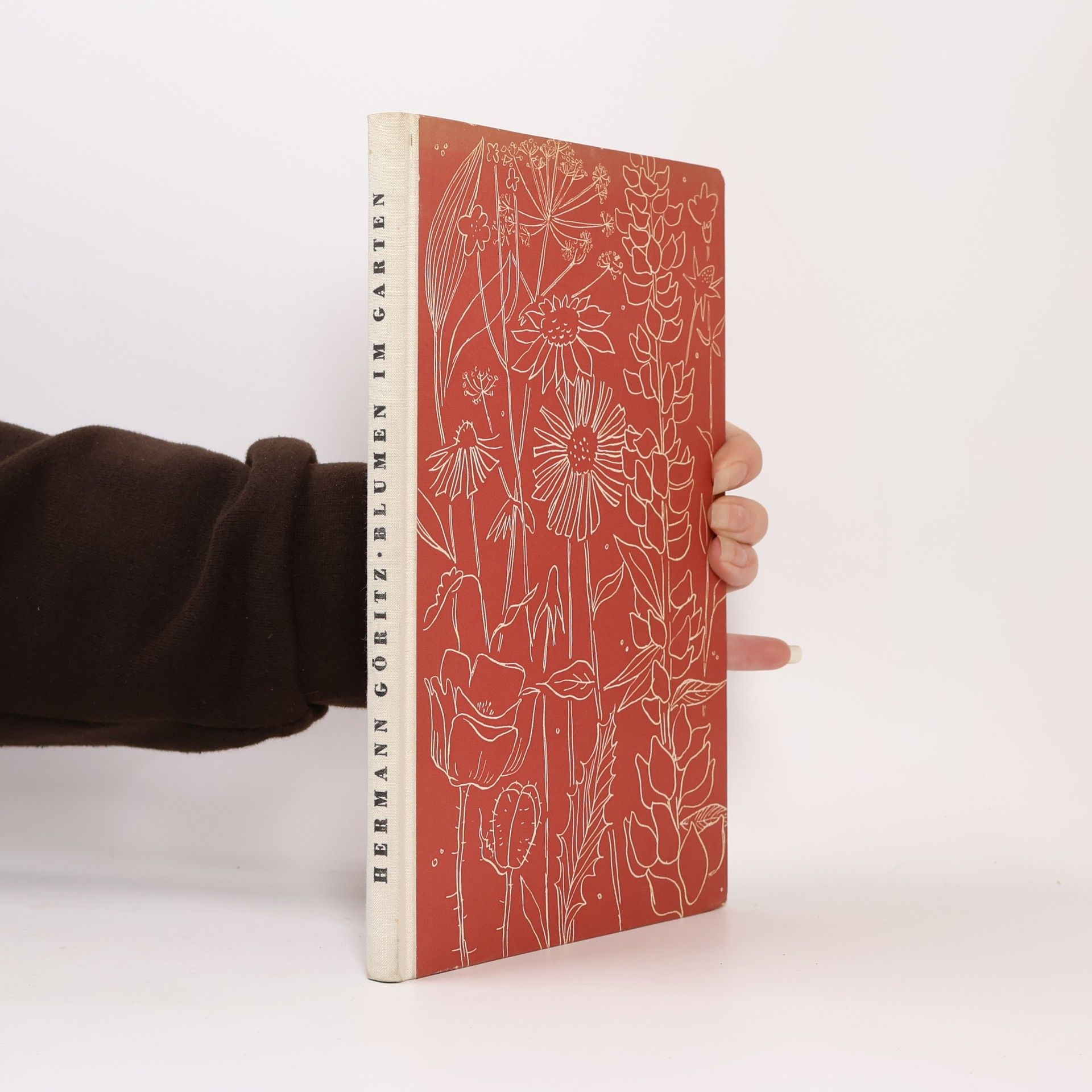 Hermann Göritz Blumen im Garten