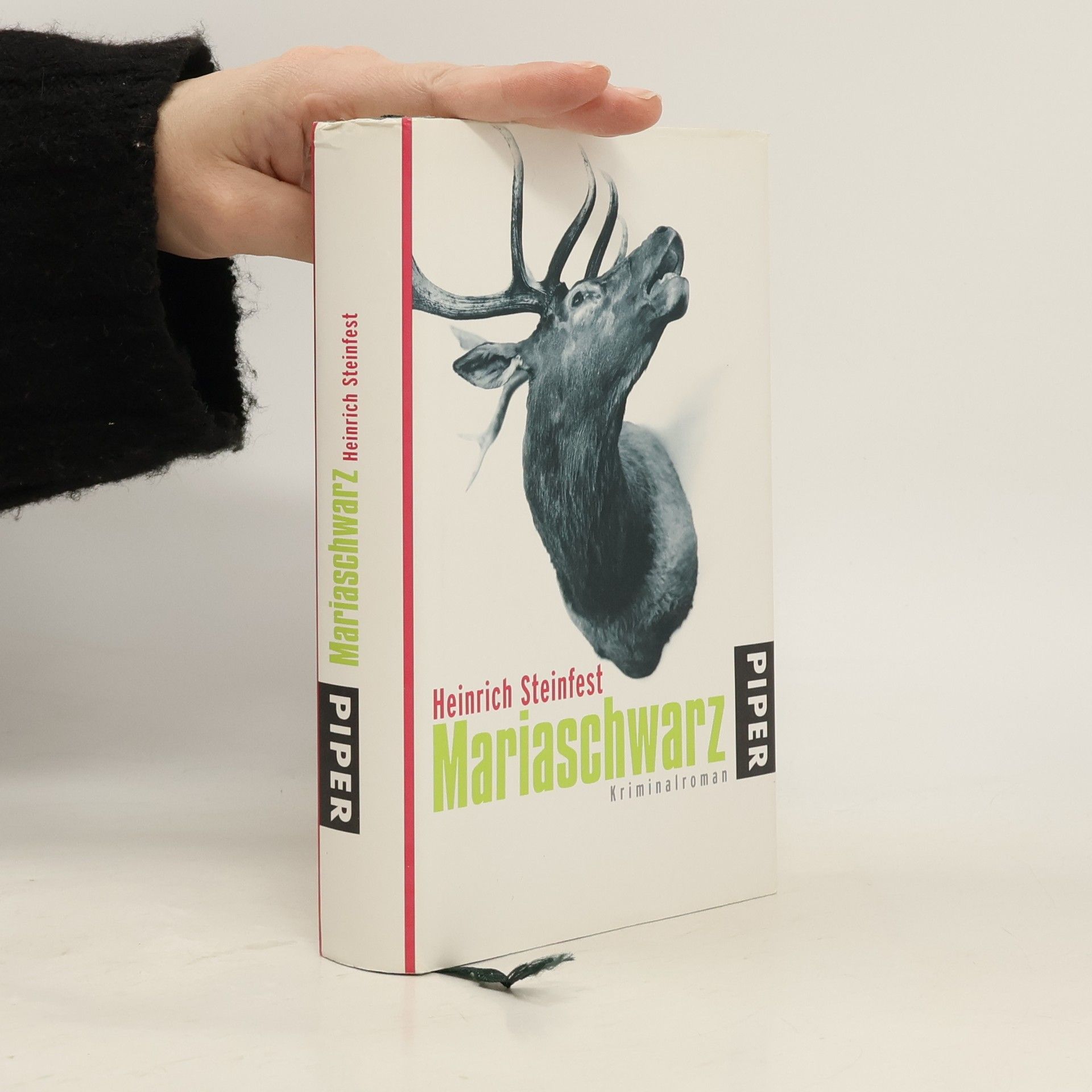 Heinrich Steinfest Mariaschwarz