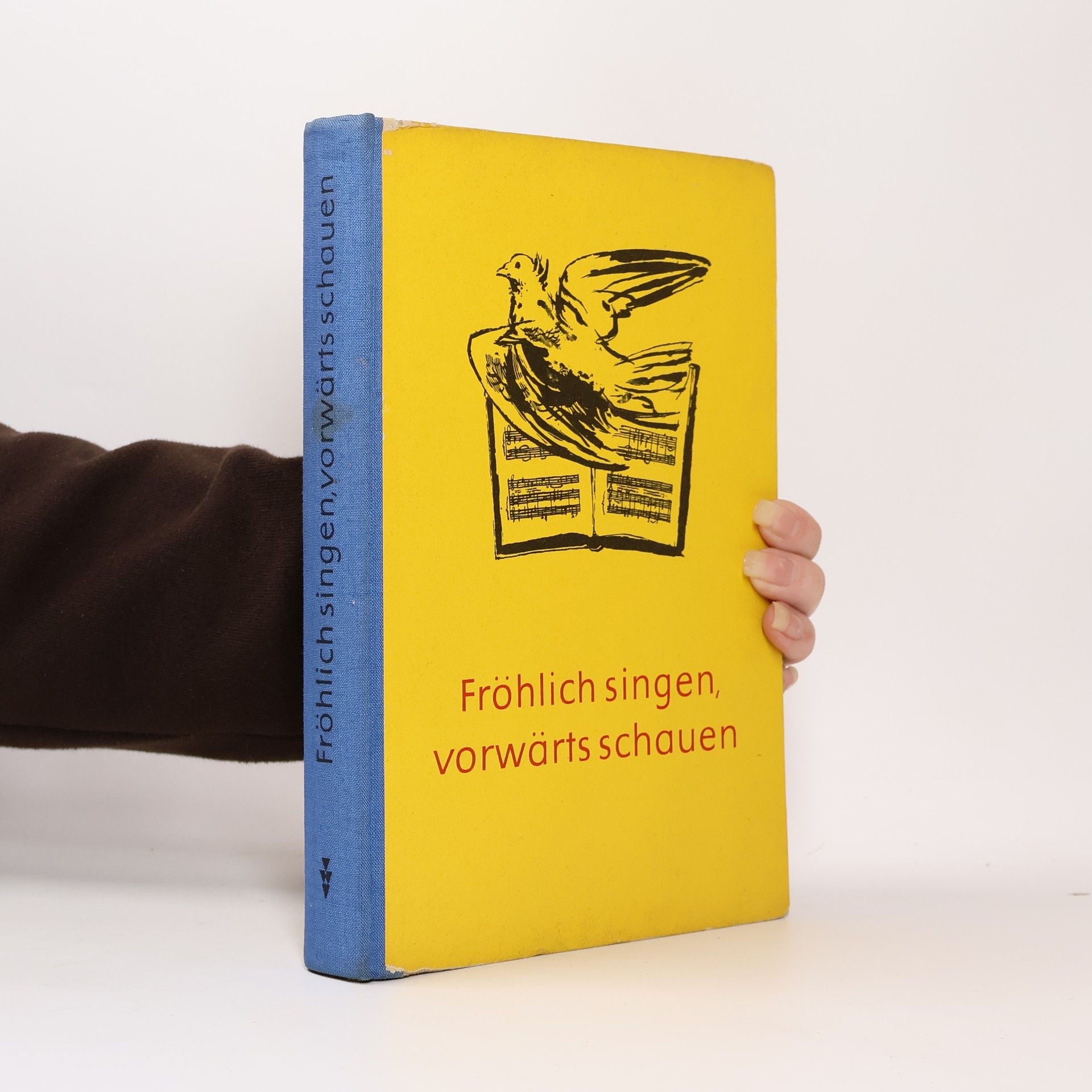 Autorenkollektiv Fröhlich singen, vorwärts schauen. 9. und 10. Klasse