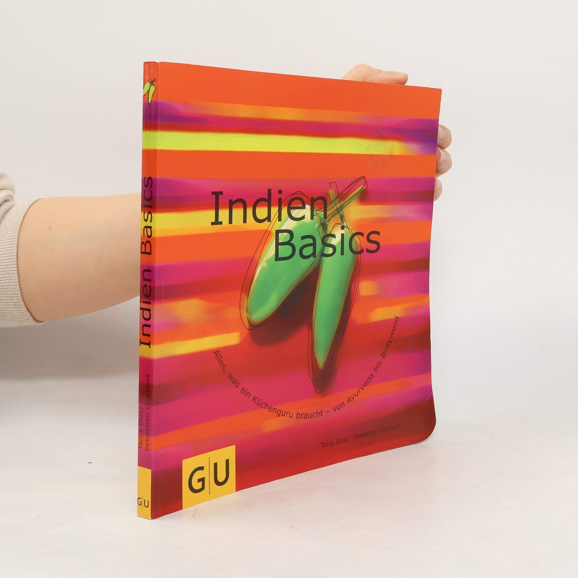 Tanja Dusy Indien-Basics