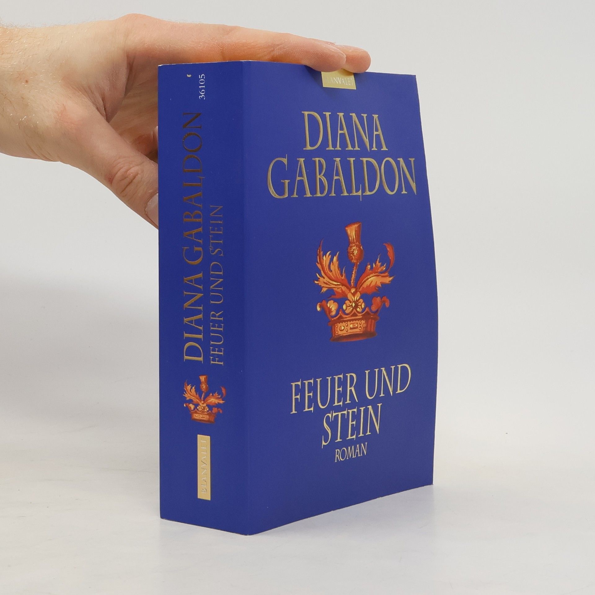 Diana Gabaldon Feuer und Stein