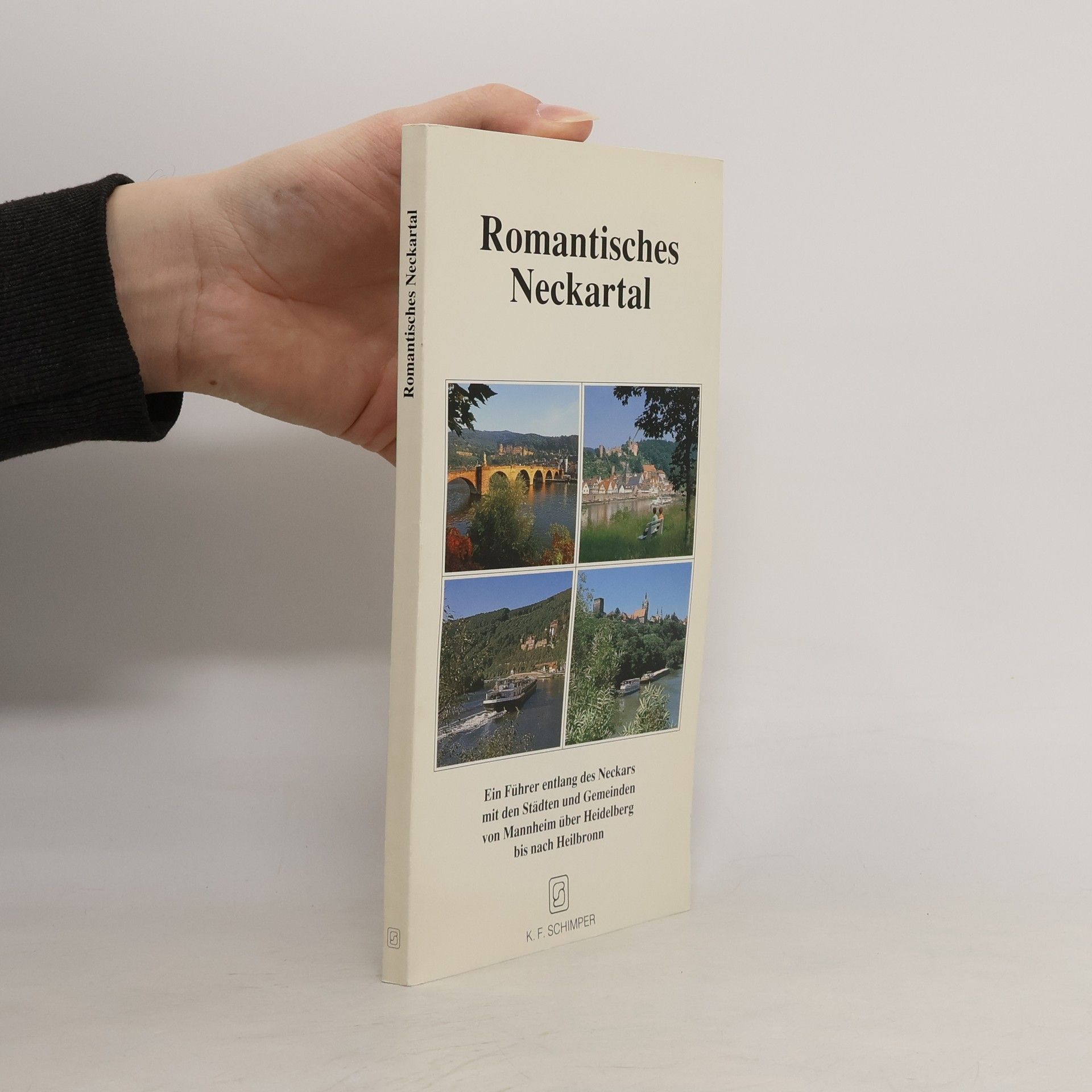 Otmar A. Geiger Romantisches Neckartal