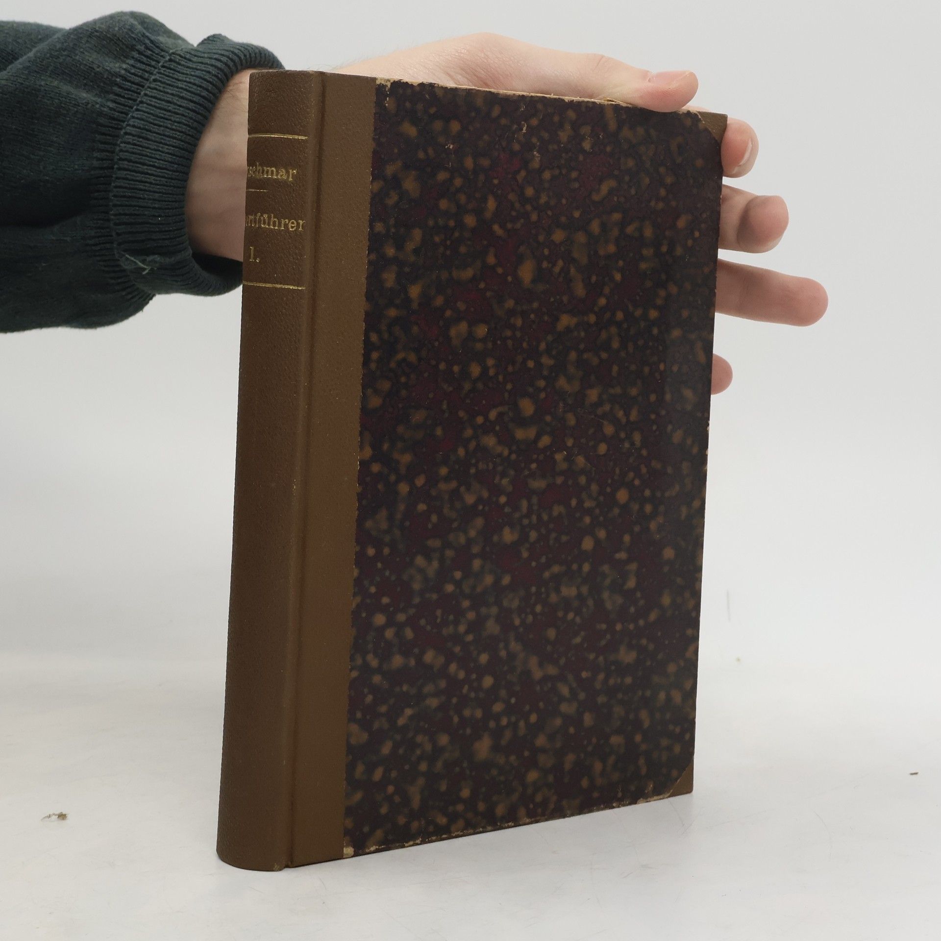 Führer durch den Konzertsaal. Abt. I, Sinfonie und Suite. Bd. I.