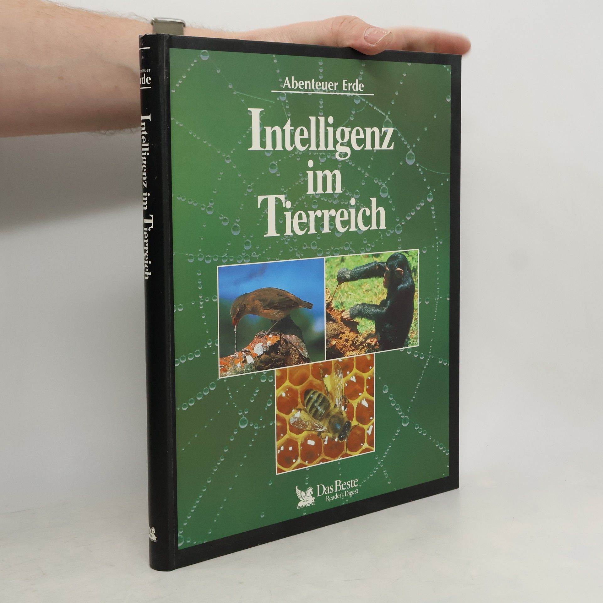 Autores varios Intelligenz im Tierreich