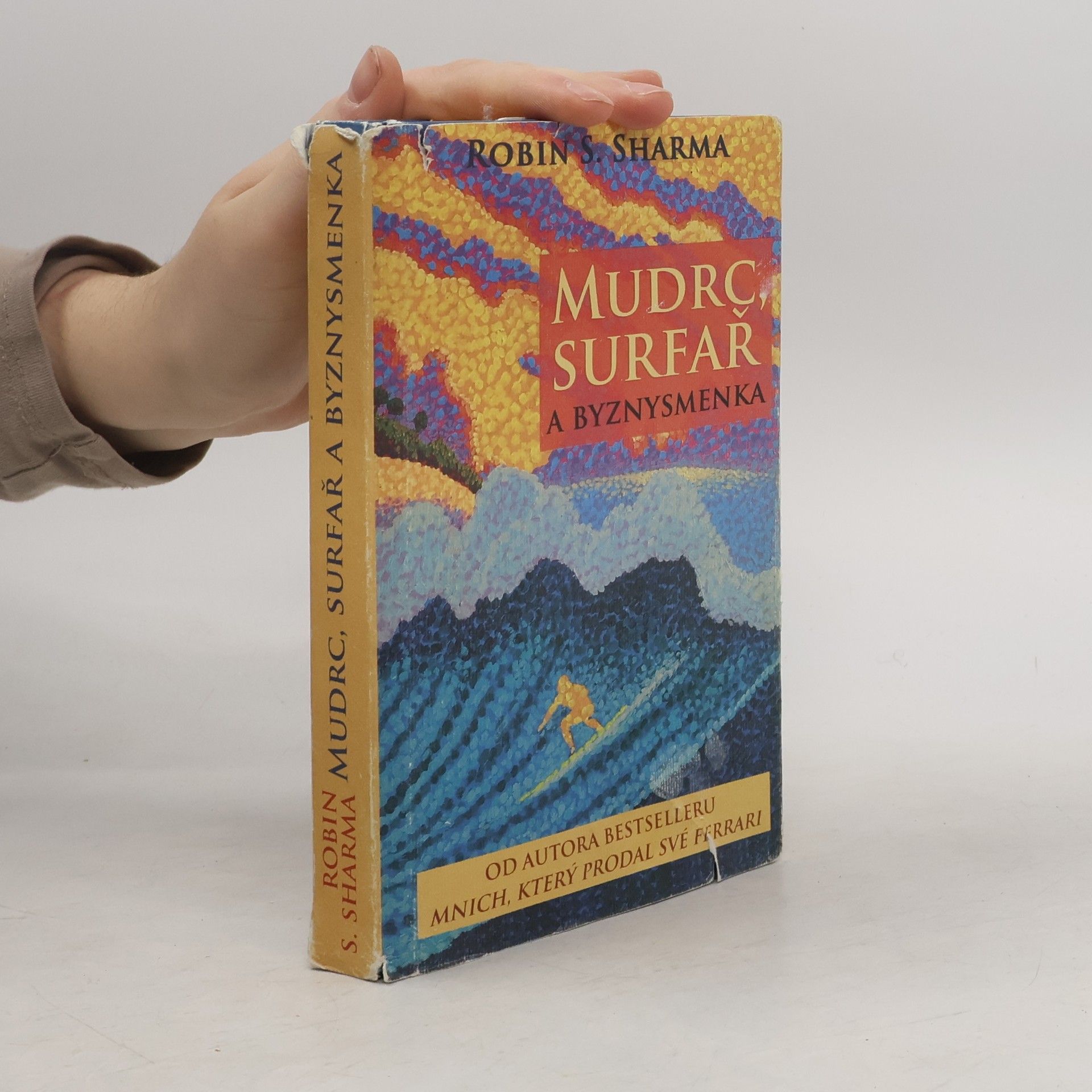 Robin Sharma Mudrc, surfař a byznysmenka