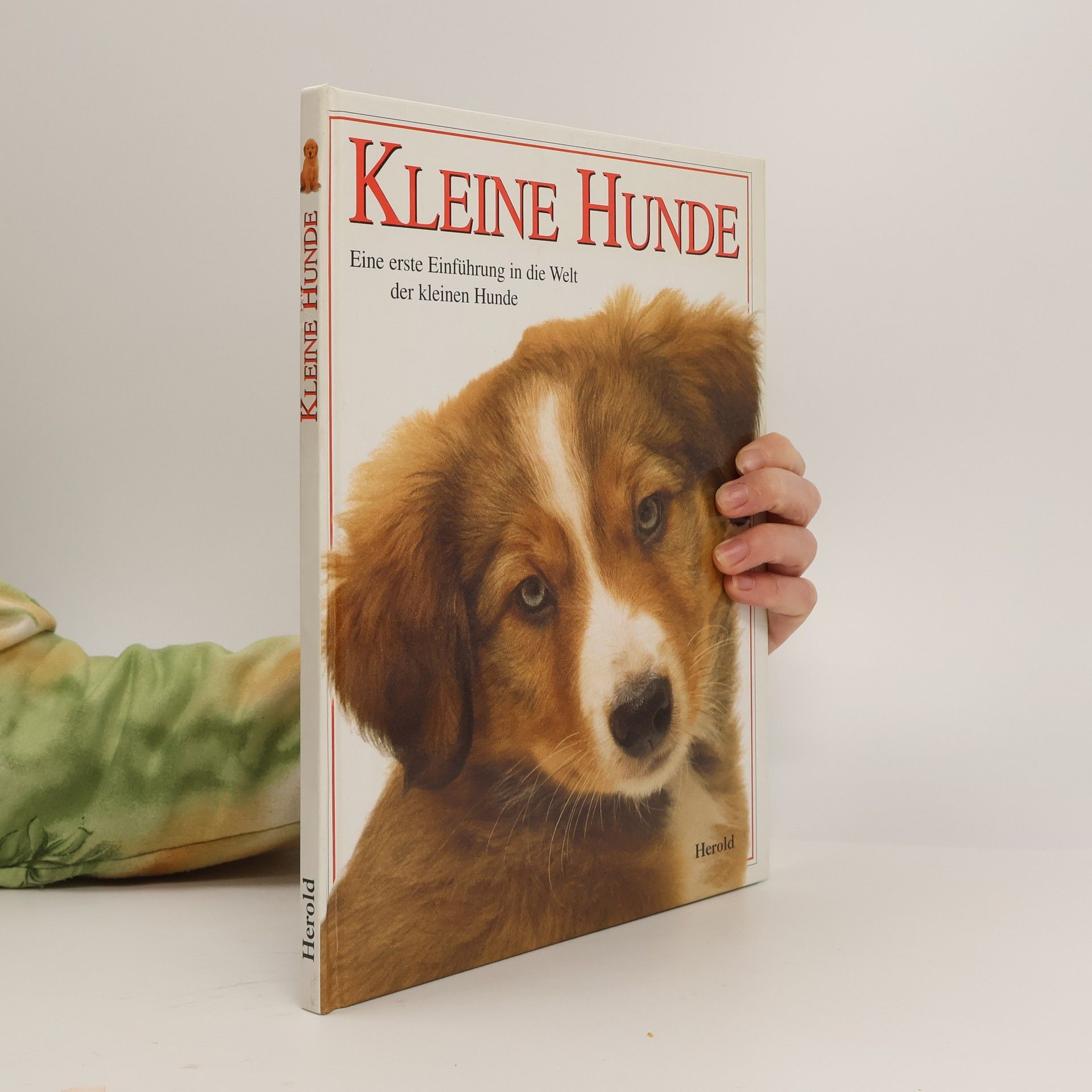Carey Scott Kleine Hunde