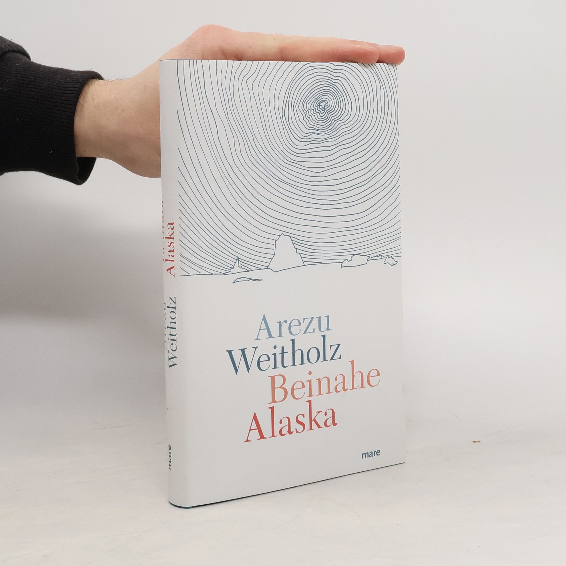 Arezu Weitholz Beinahe Alaska