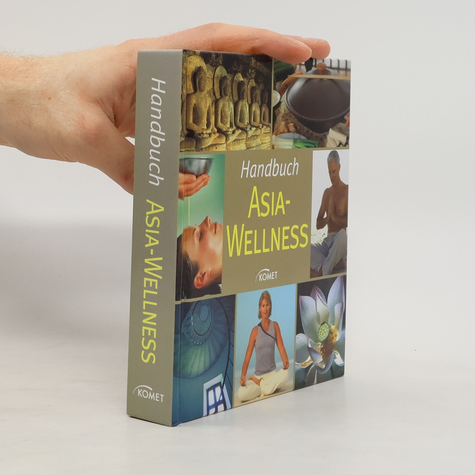 Autorenkollektiv Handbuch Asia-Wellness