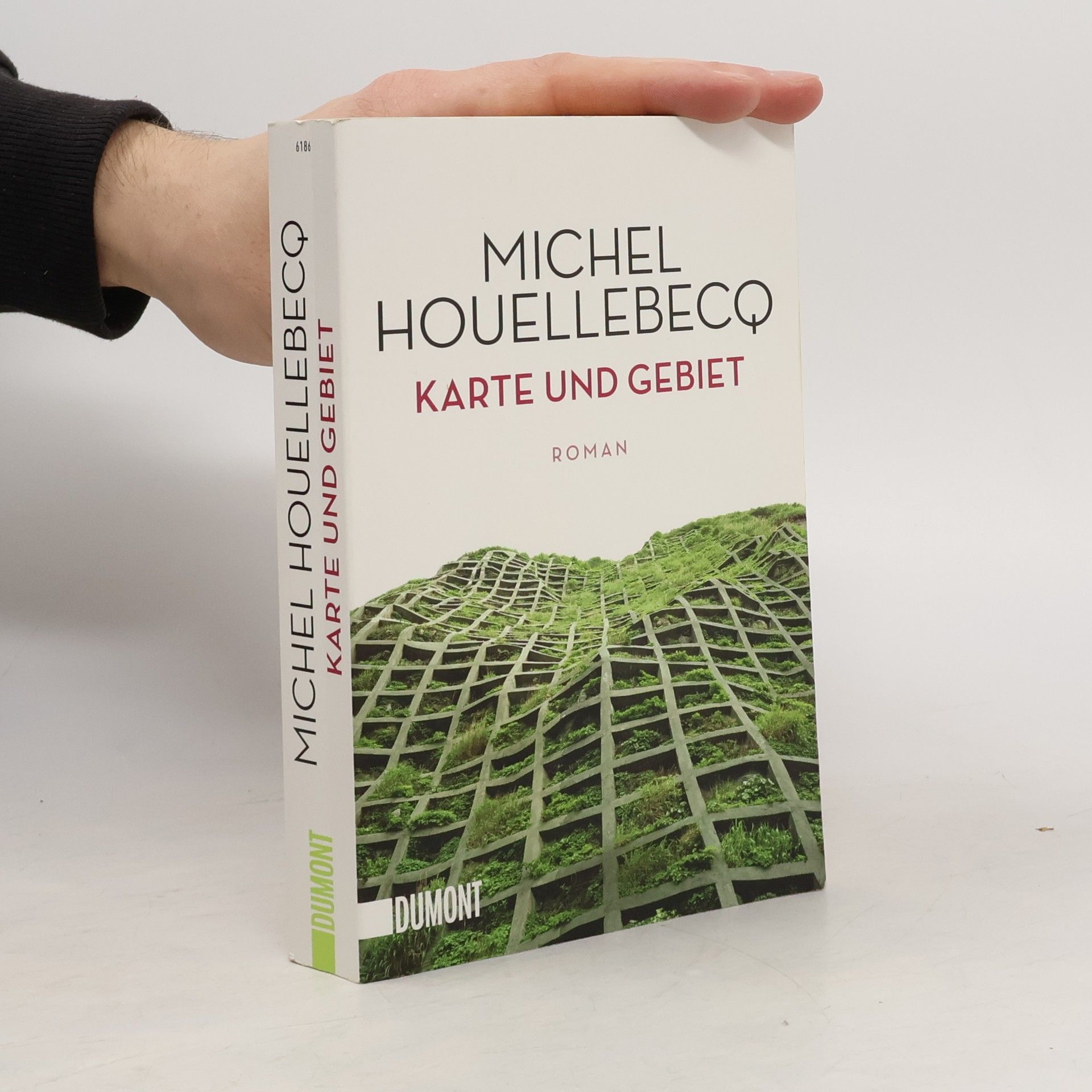 Michel Houellebecq Karte und Gebiet