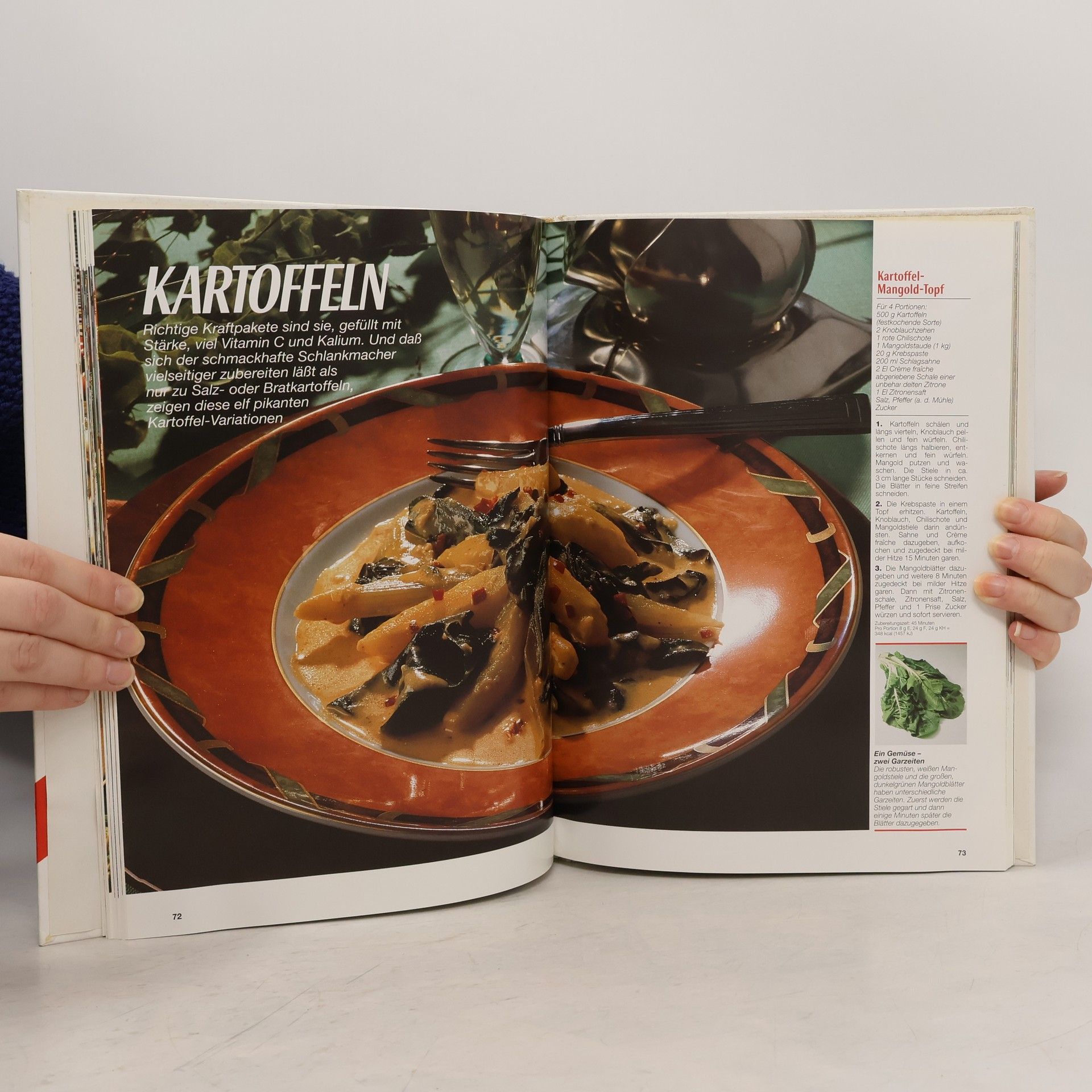 Hilmar Döring Das grosse Buch der vegetarischen Küche