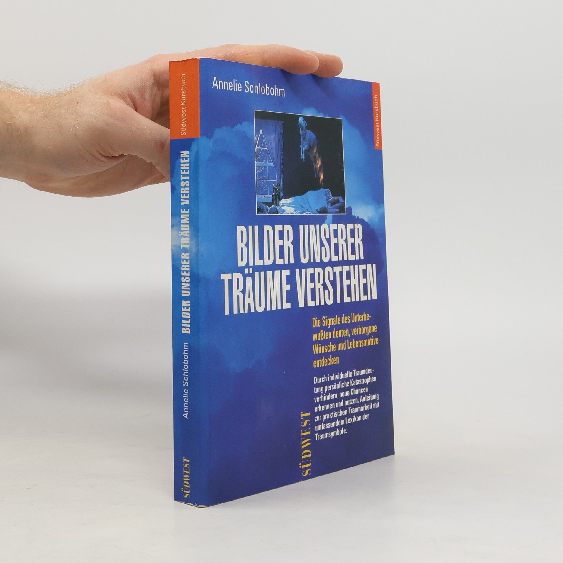 Annelie Schlobohm Bilder unserer Träume verstehen