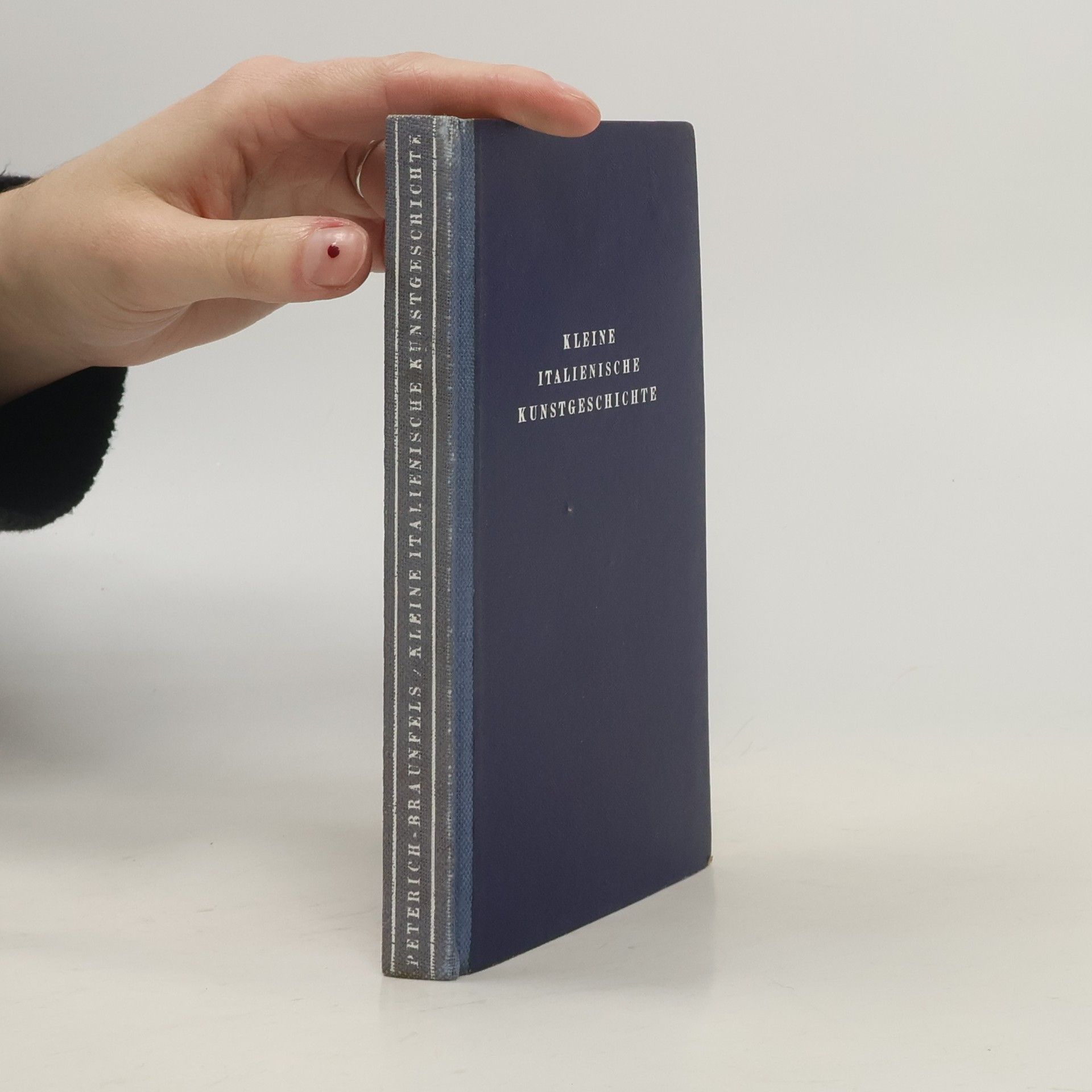 Autorenkollektiv Kleine italienische Kunstgeschichte