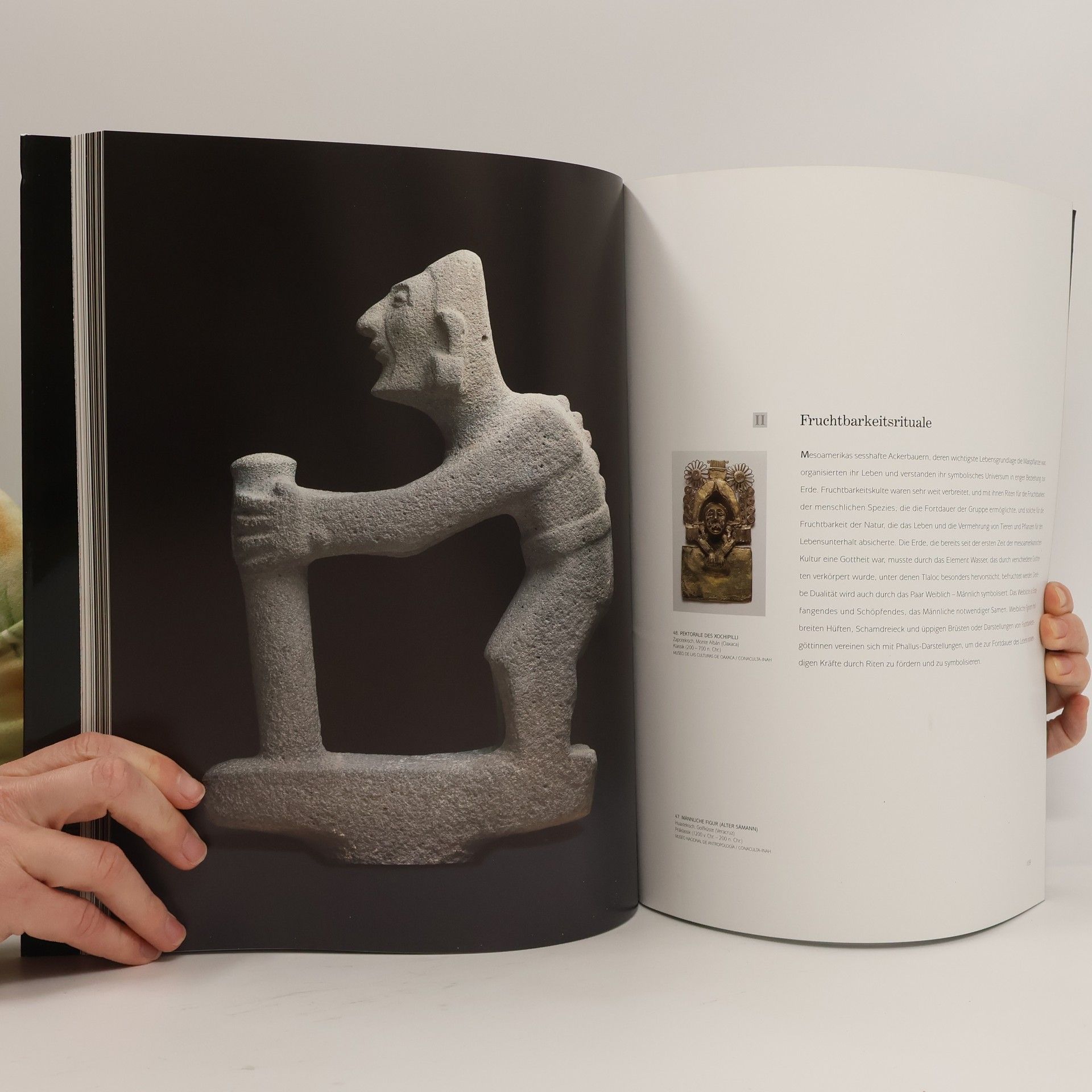 Gerard W. van Bussel Mensch und Kosmos