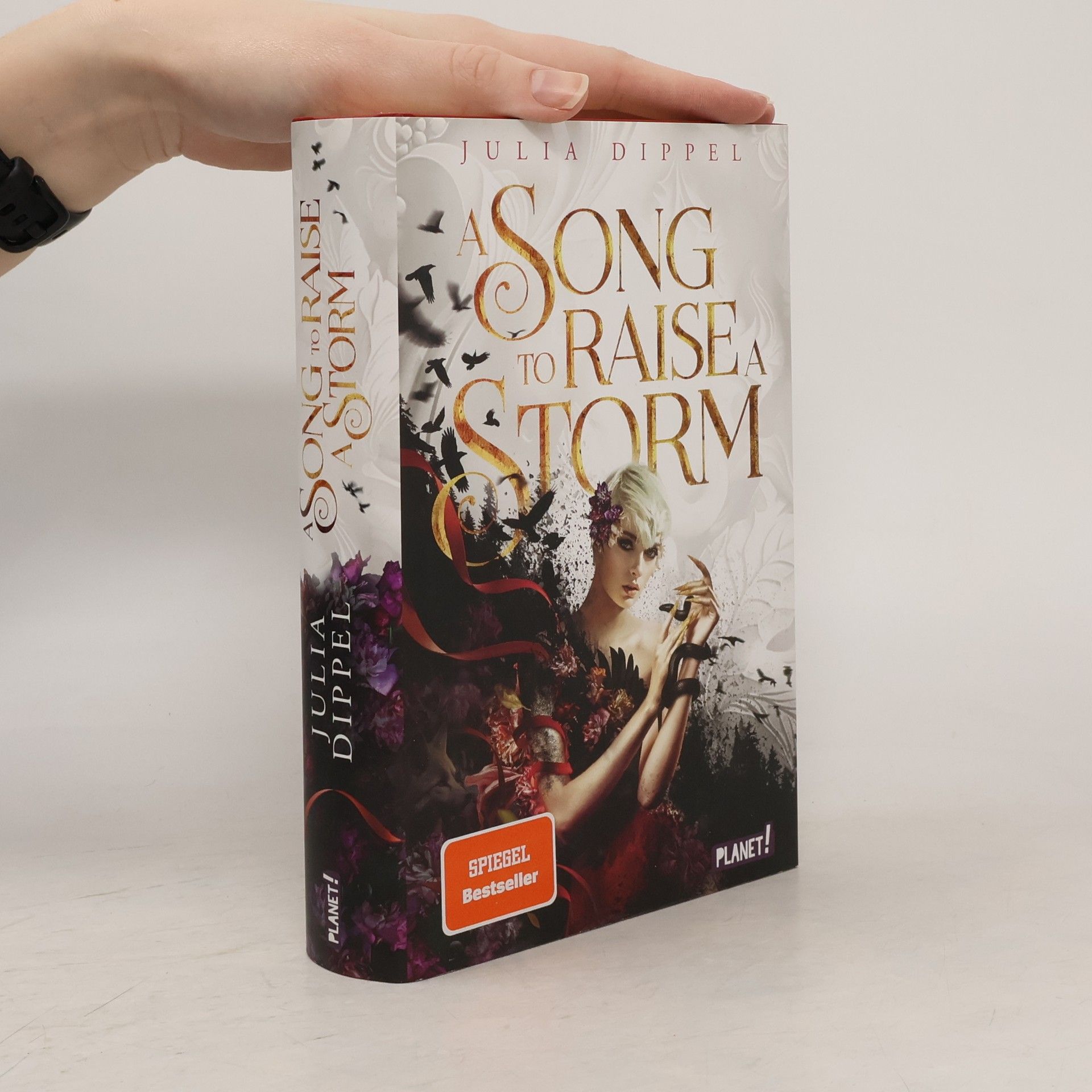 Julia Dippel Die Sonnenfeuer-Ballade 1: A Song to Raise a Storm