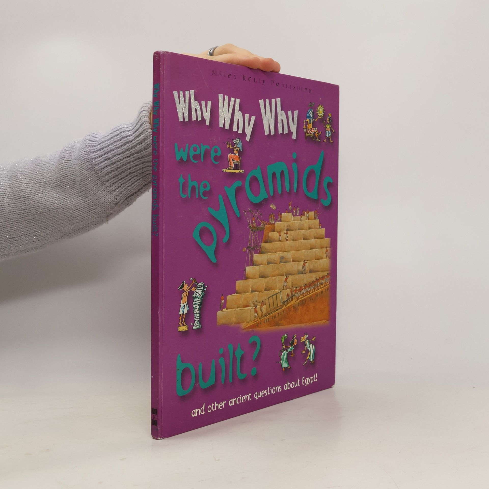 Catherine Chambers Why Why Why Were the Pyramids So Big?