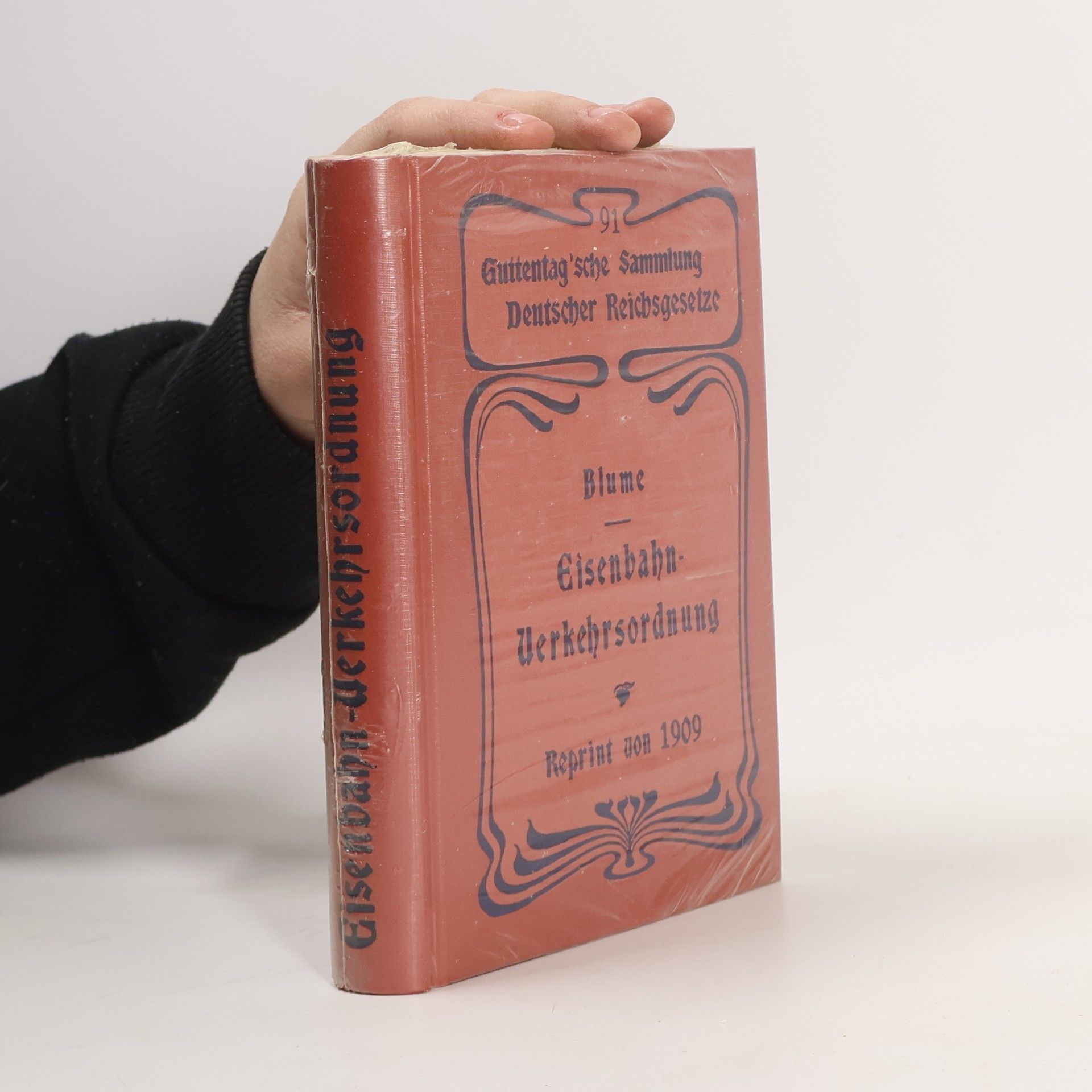 Autorenkollektiv Die Eisenbahn-Verkehrsordnung