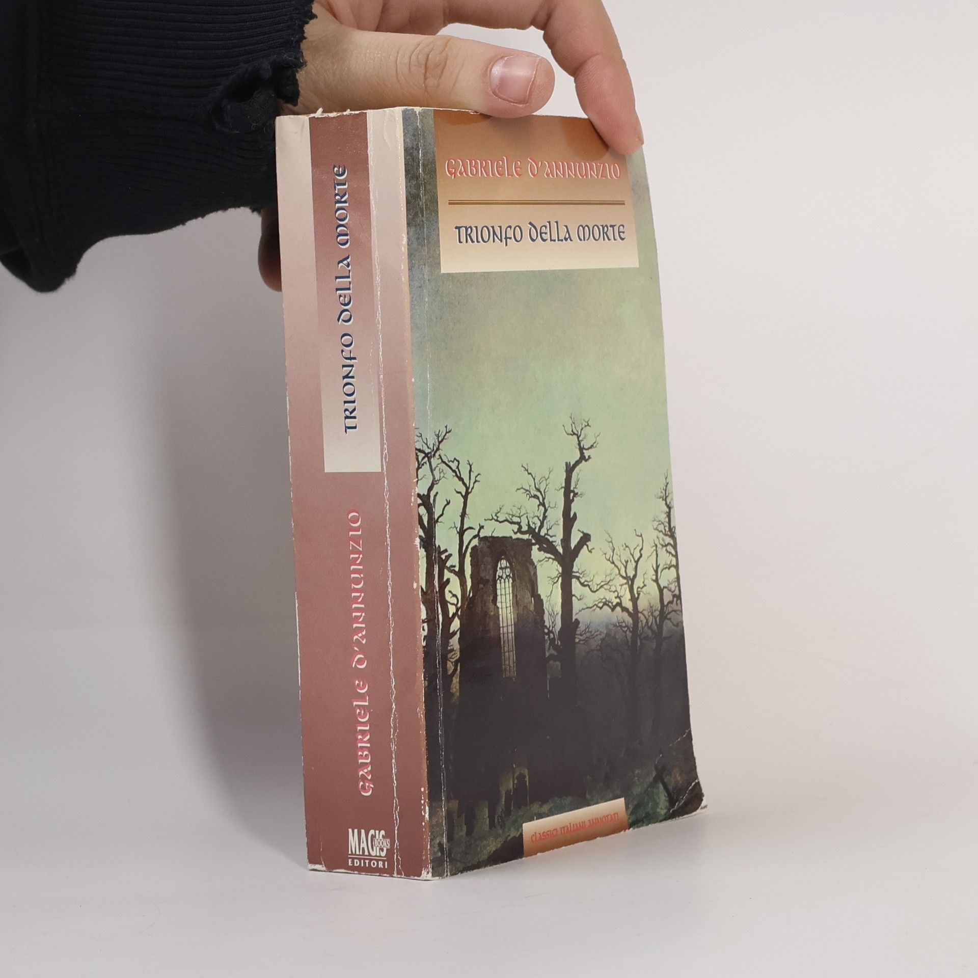 Gabrielle D. Annunzio Trionfo della morte