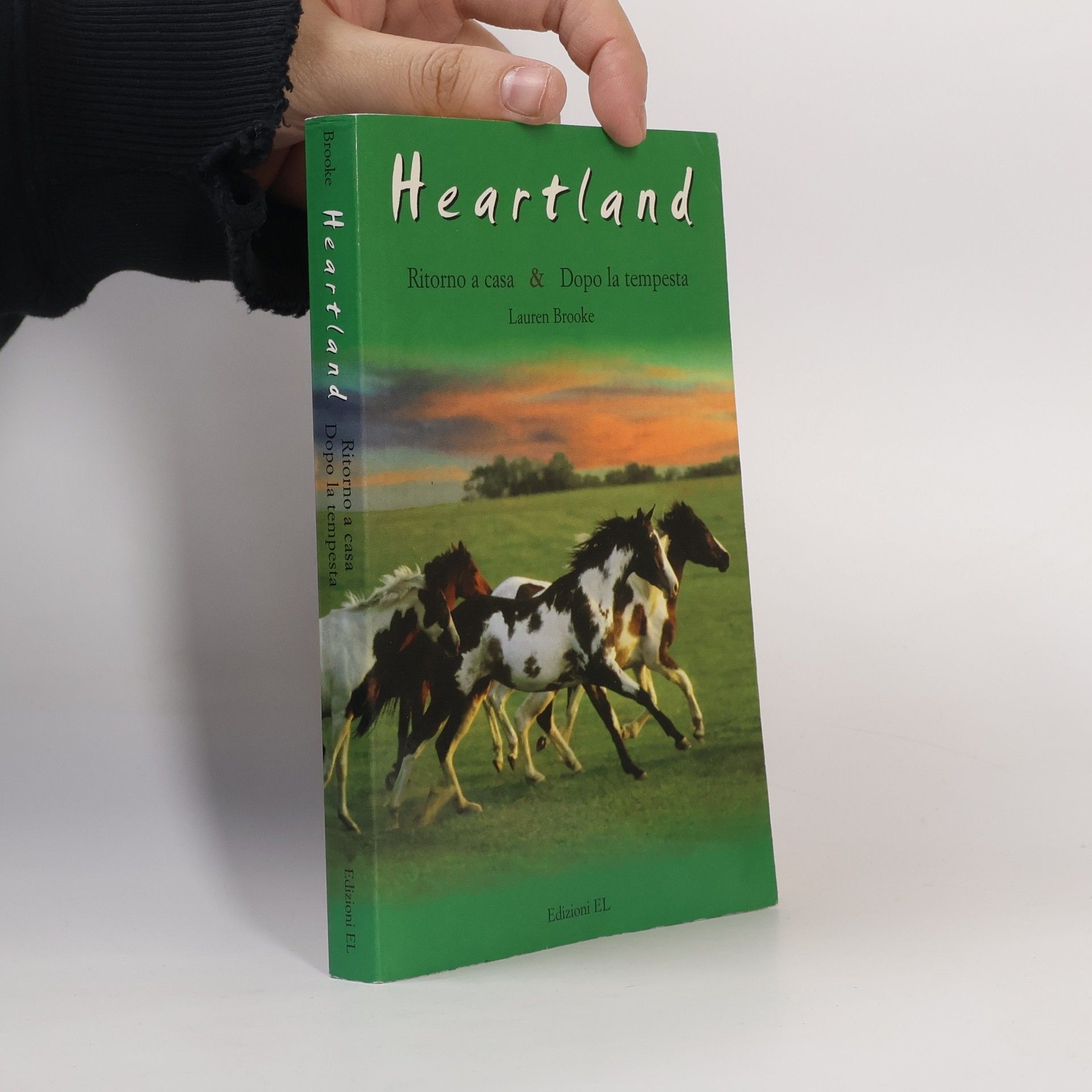 Lauren Brooke Ritorno a casa & Dopo la tempesta