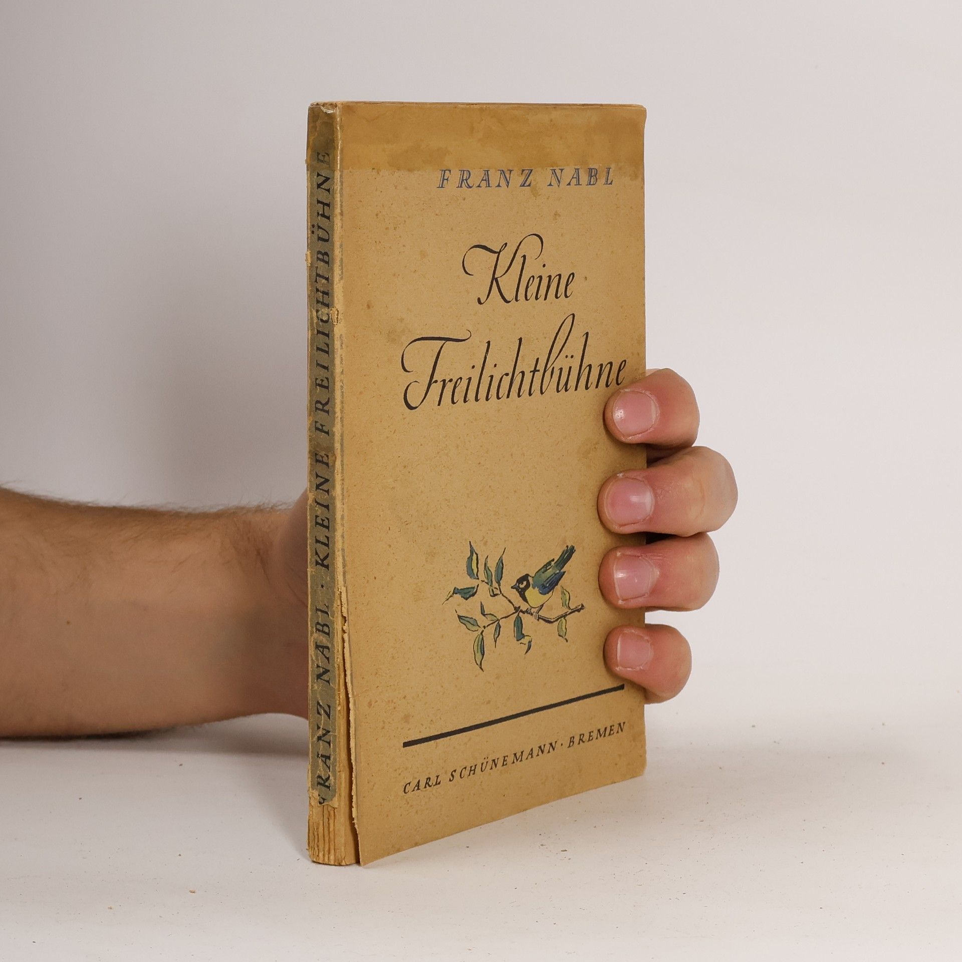 Franz Nabl Kleine Freilichtbühne