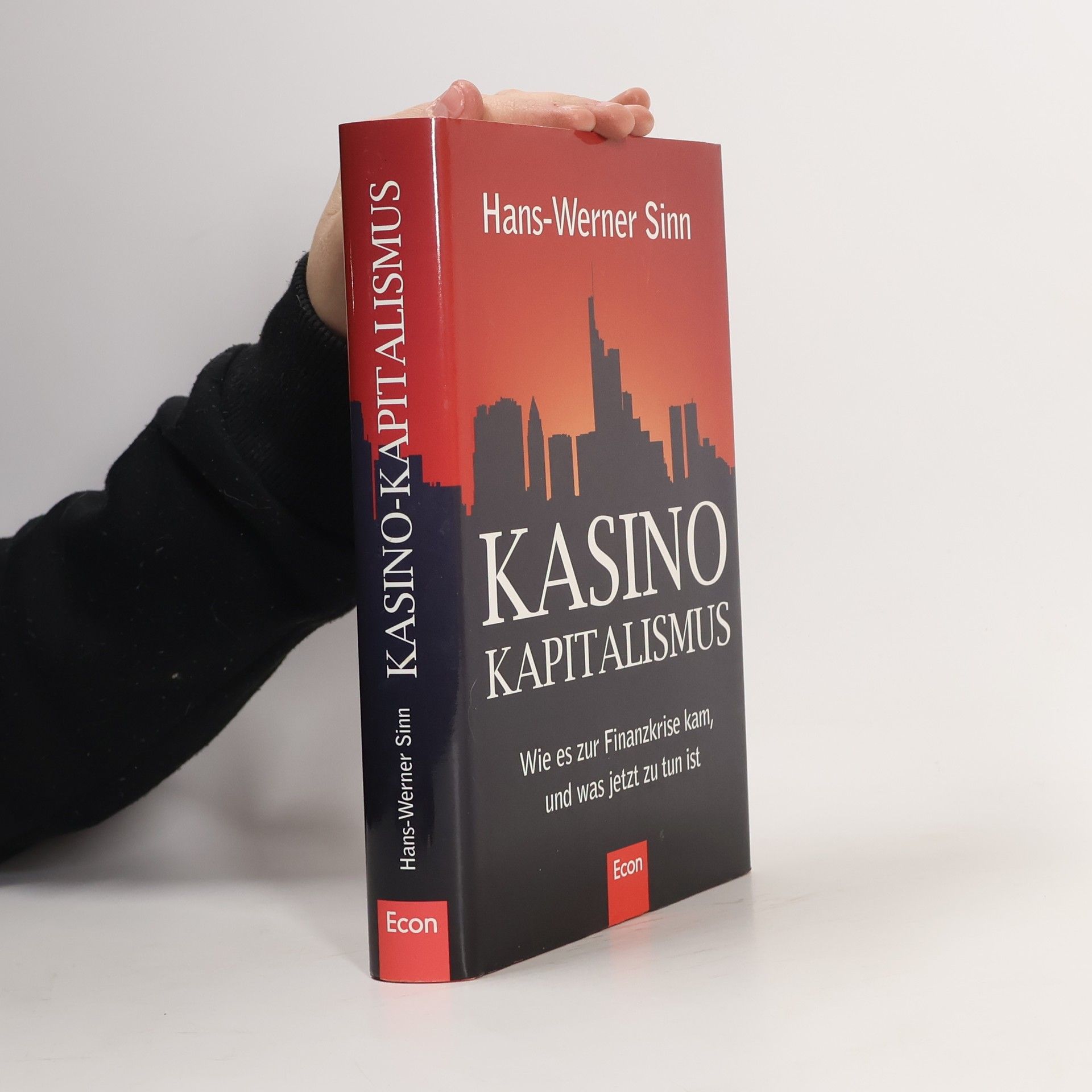 Werner Sinn Kasino-Kapitalismus