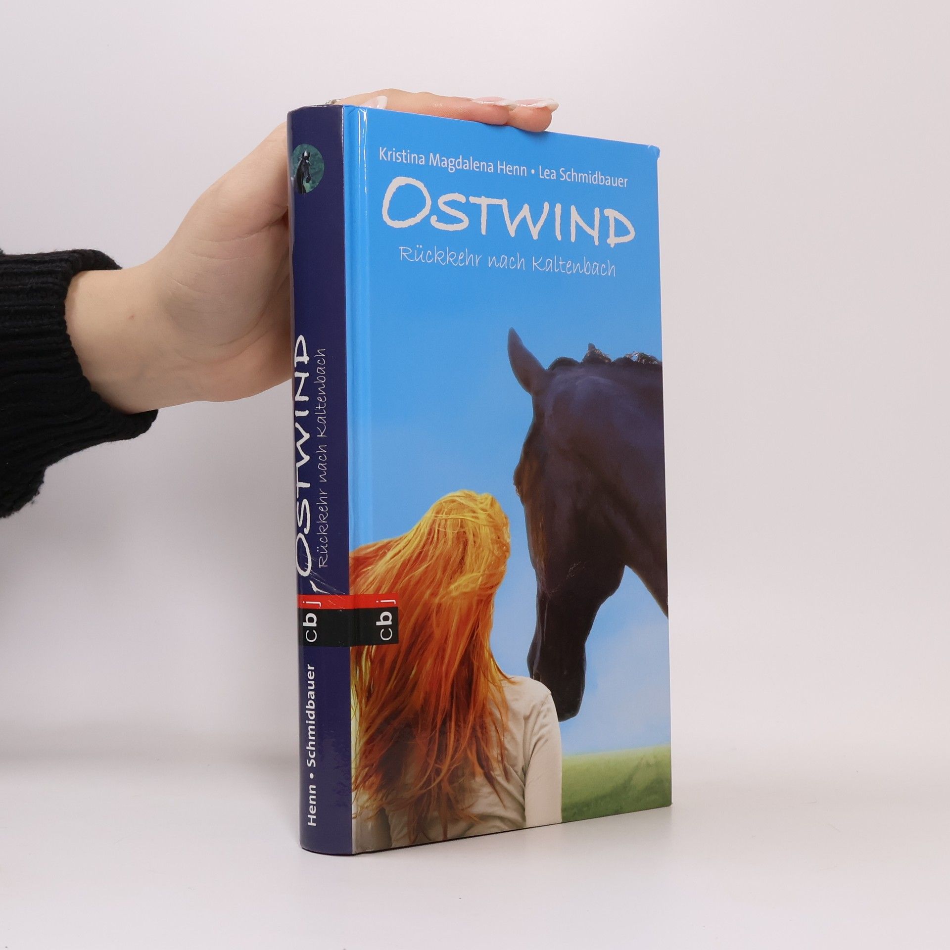 Kristina Magdalena Henn Ostwind - Rückkehr nach Kaltenbach