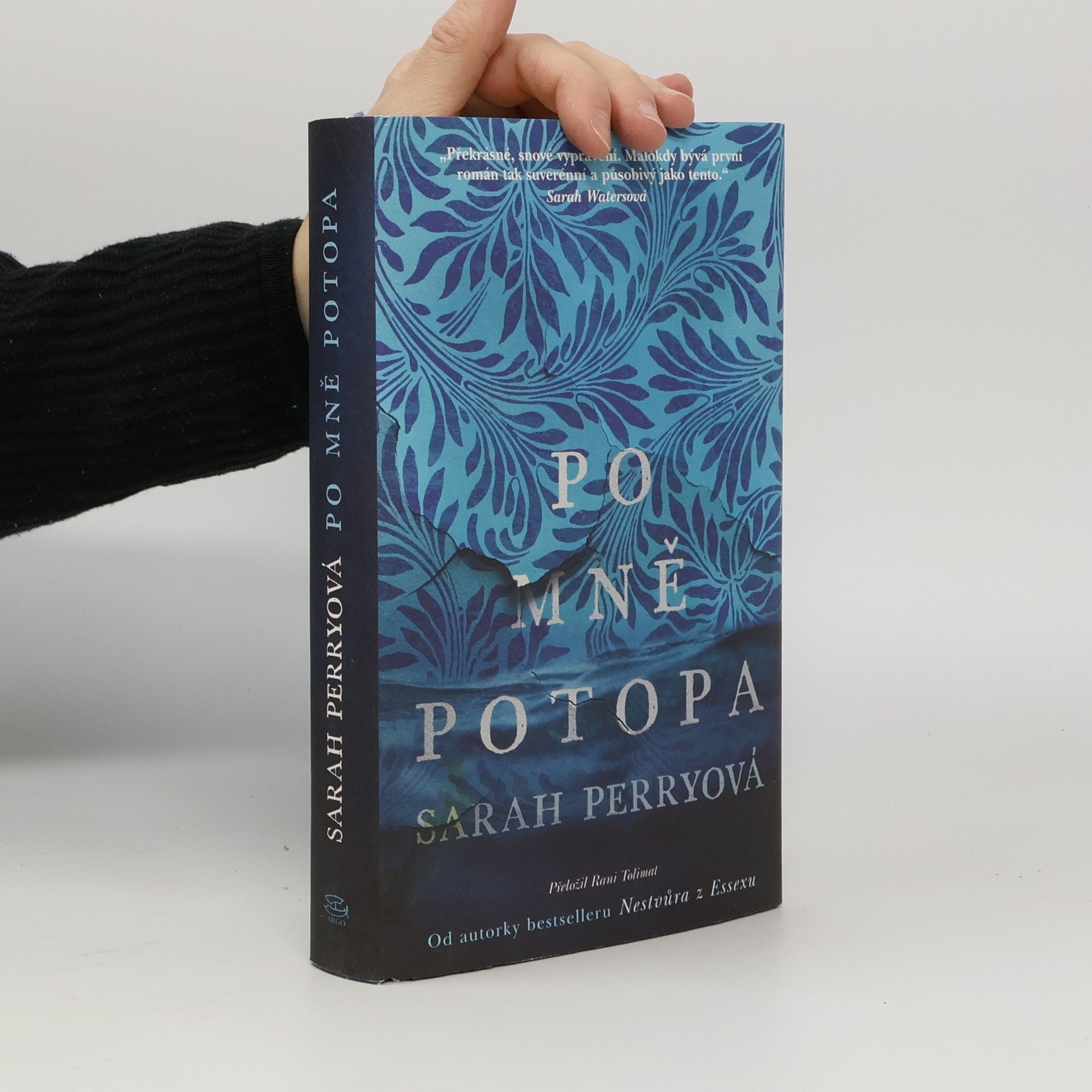 Sarah Perry Po mně potopa