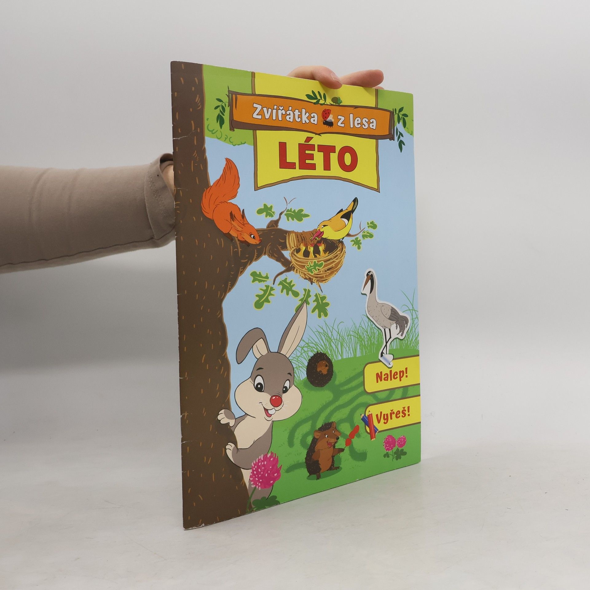 Zvířátka z lesa. Léto