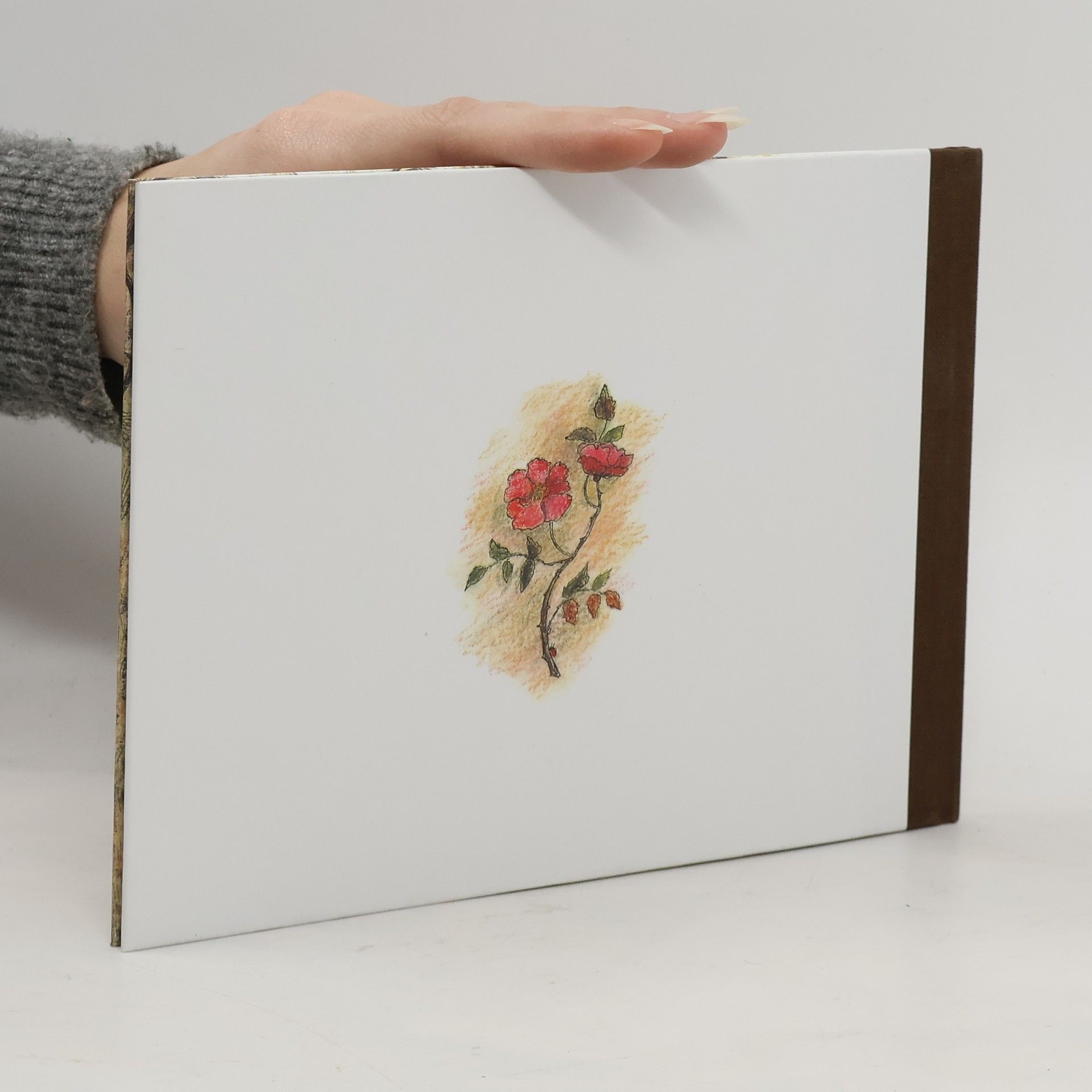 Jacob Grimm Schneeweisschen und Rosenrot
