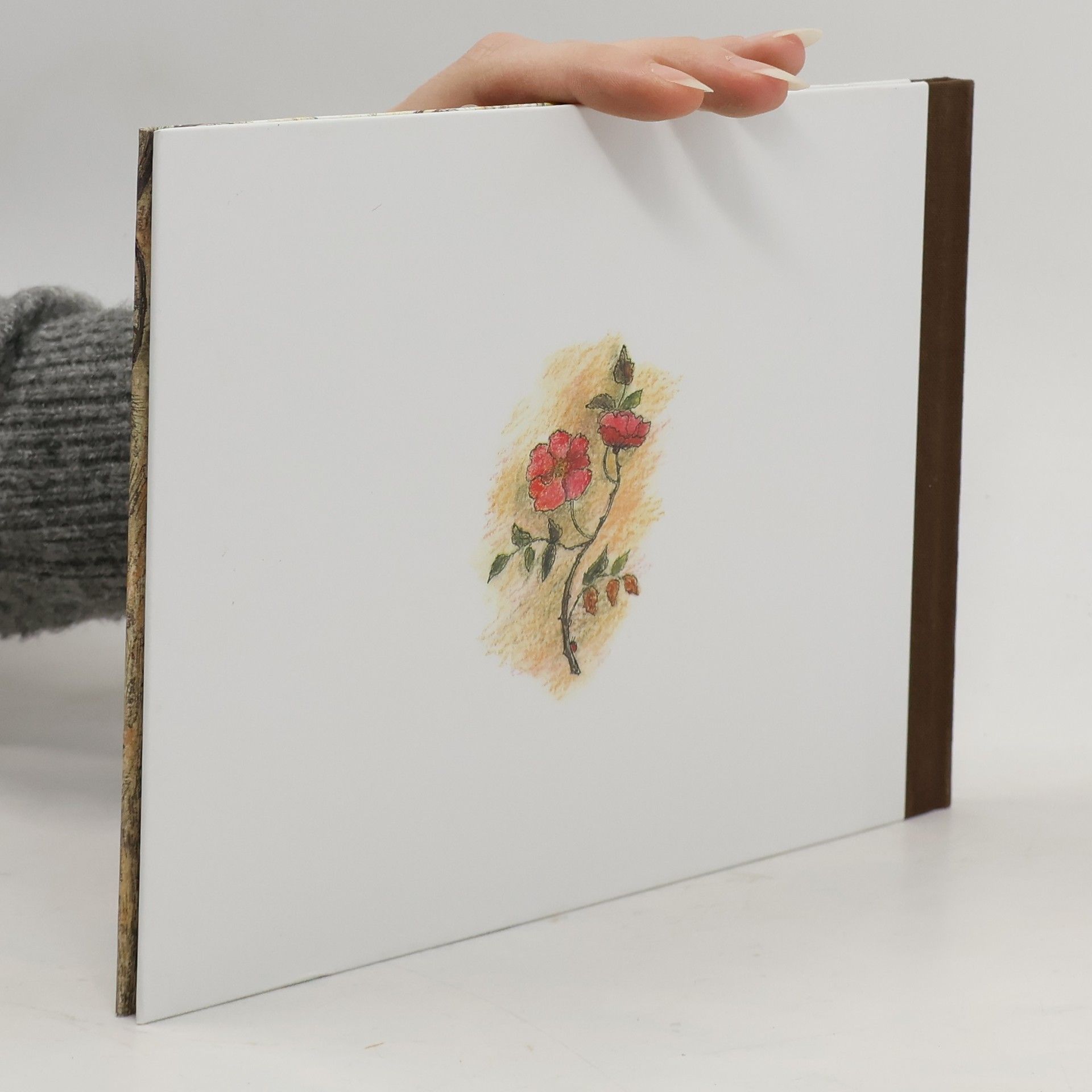 Jacob Grimm Schneeweisschen und Rosenrot