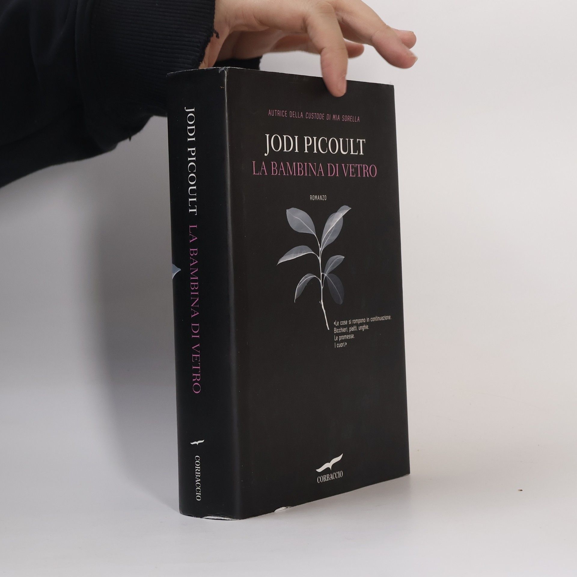 Jodi Picoult La bambina di vetro