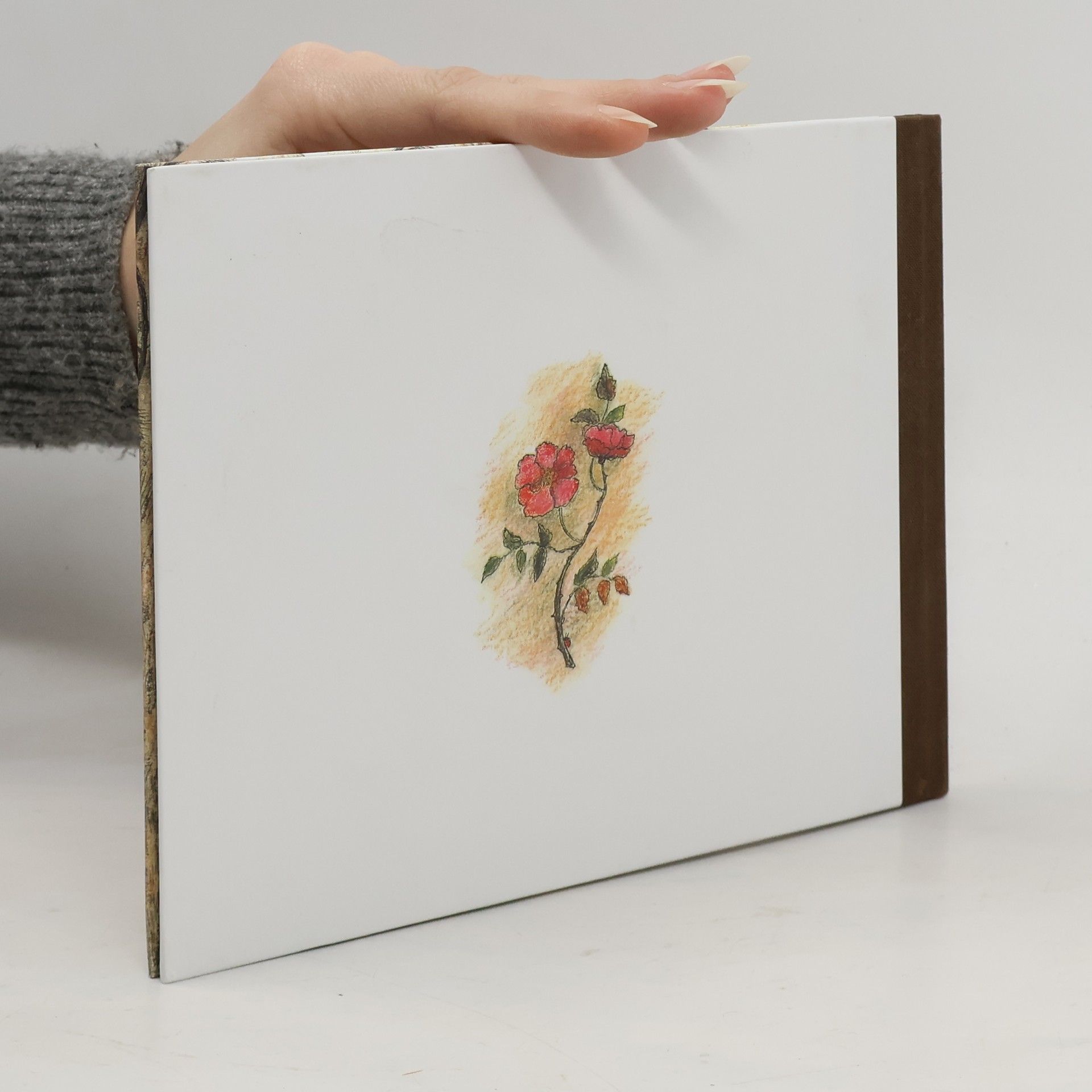 Jacob Grimm Schneeweisschen und Rosenrot