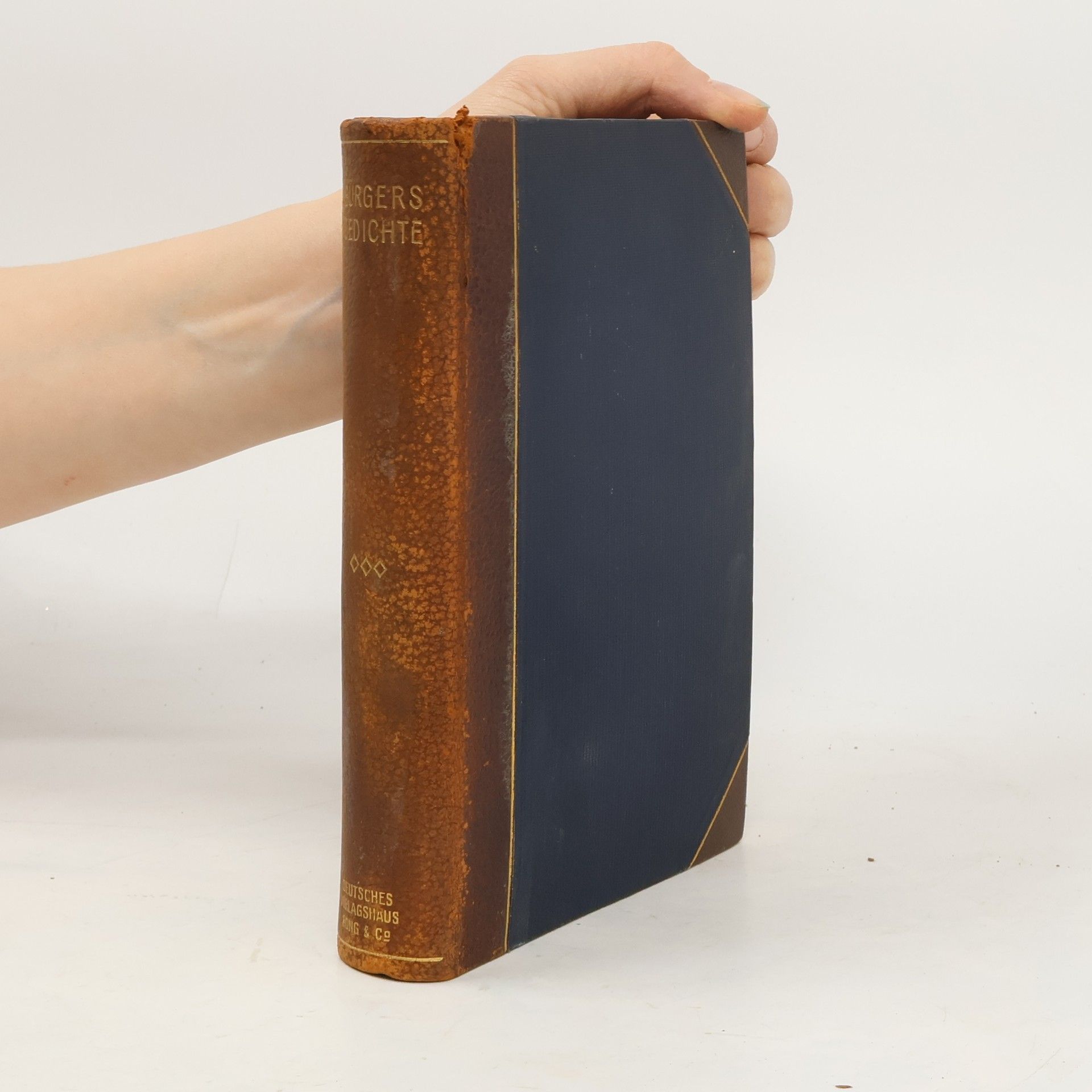 Eric Bürger Bürgers Gedichte I. Gedichte 1789