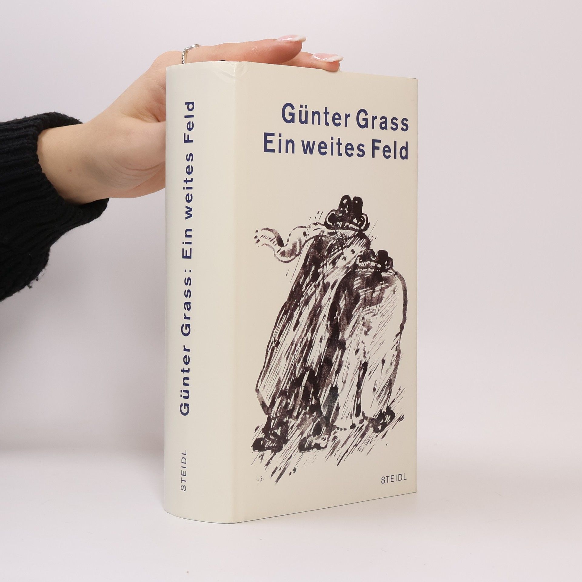 Günter Grass Ein weites Feld