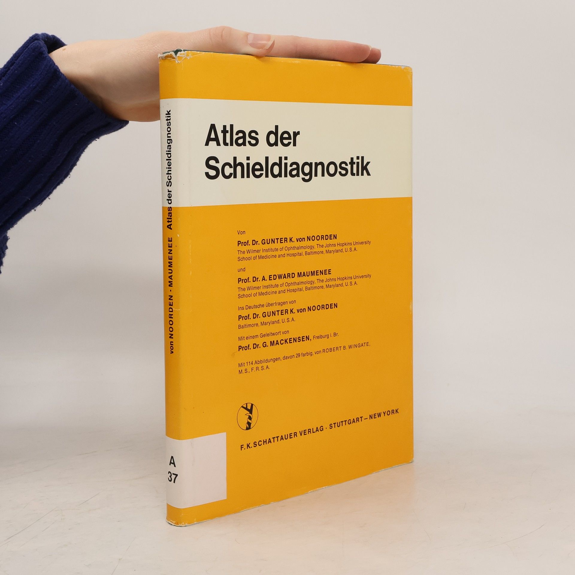 Gunter K. Von Noorden Atlas der Schieldiagnostik