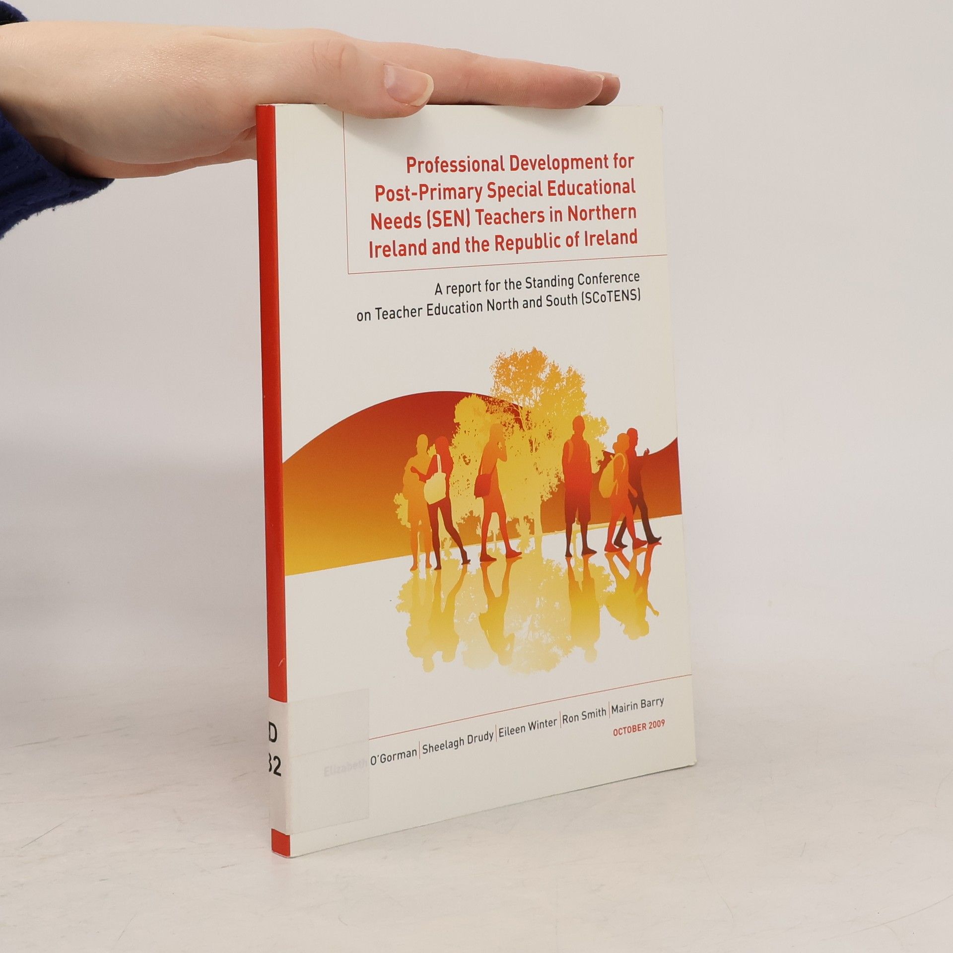 Elizabeth O'Gorman Professional Development for Post-Primary Special Educational Needs (SEN) Teachers in Northern Ireland and the Republic of Ireland