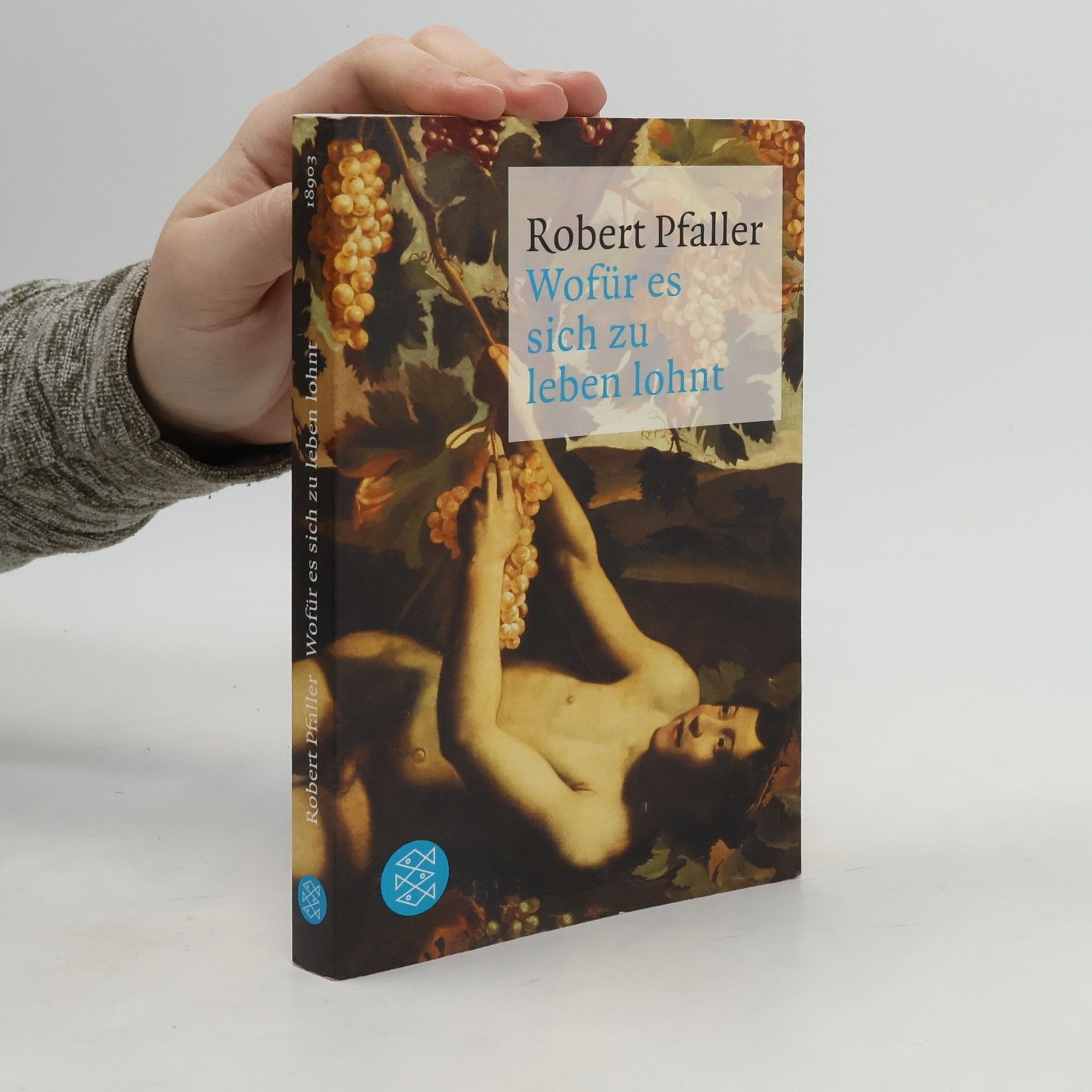 Robert Pfaller Wofür es sich zu leben lohnt