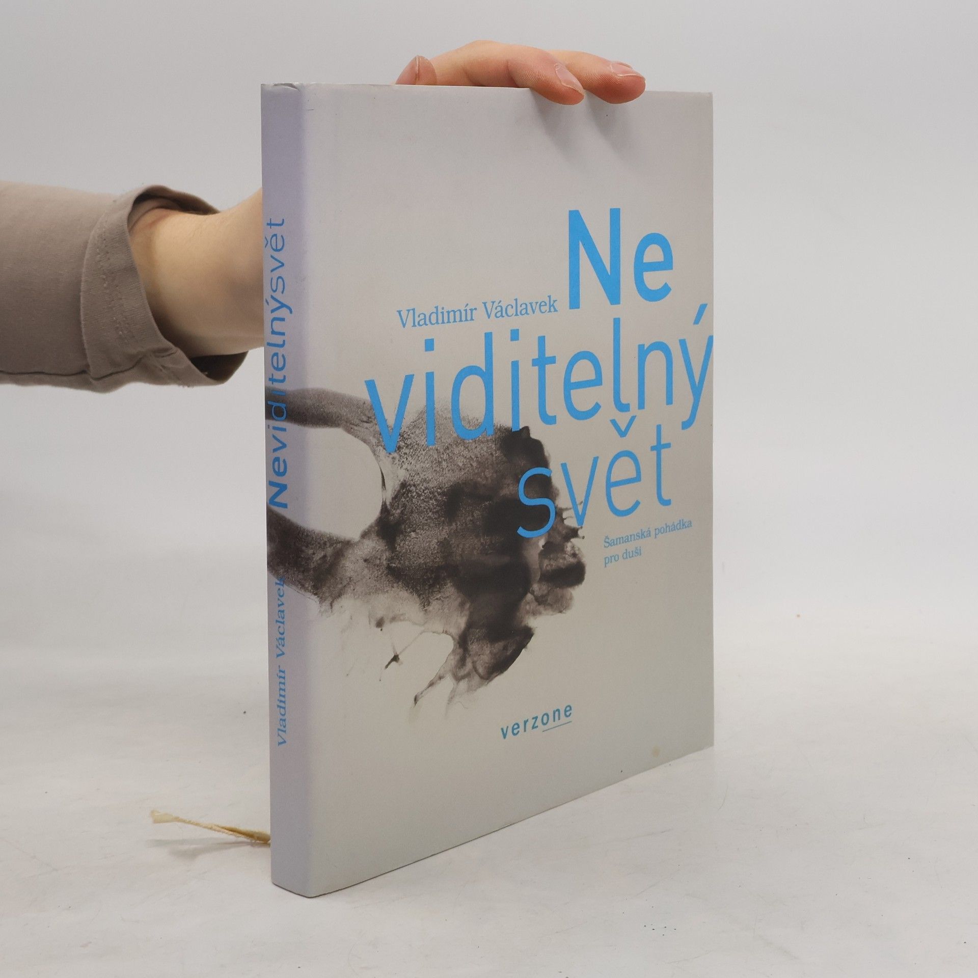 Neviditelný svět. Šamanská pohádka pro duši