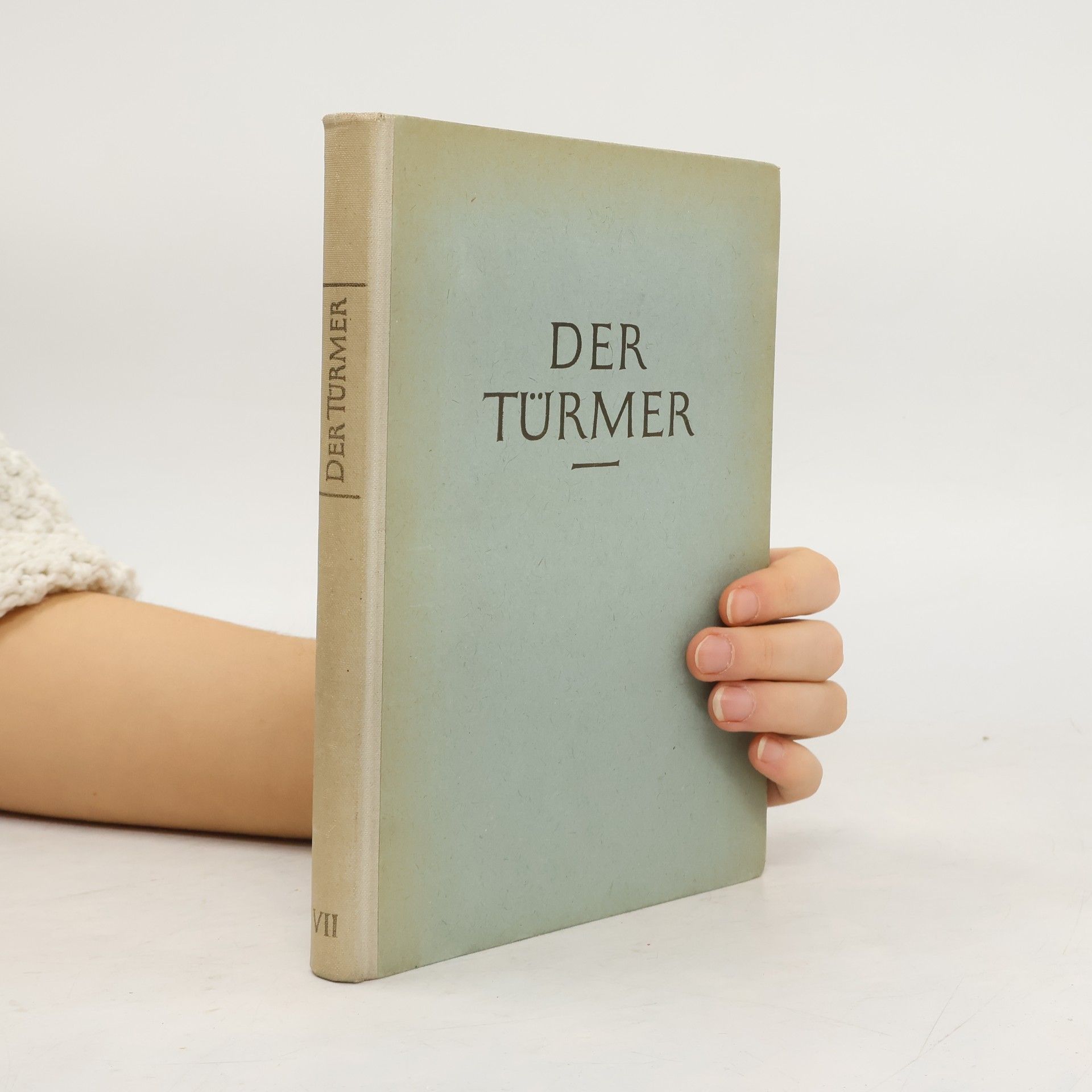 Heinrich Michaelsen Der Türmer VII