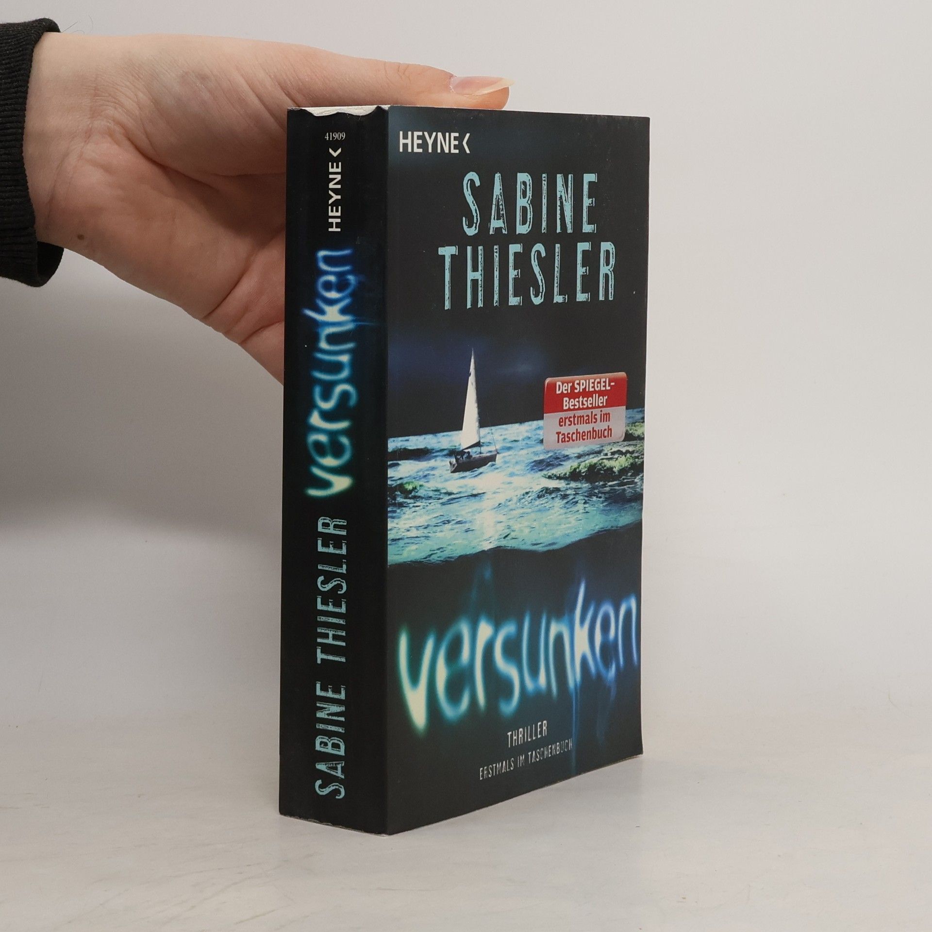 Sabine Thiesler Versunken