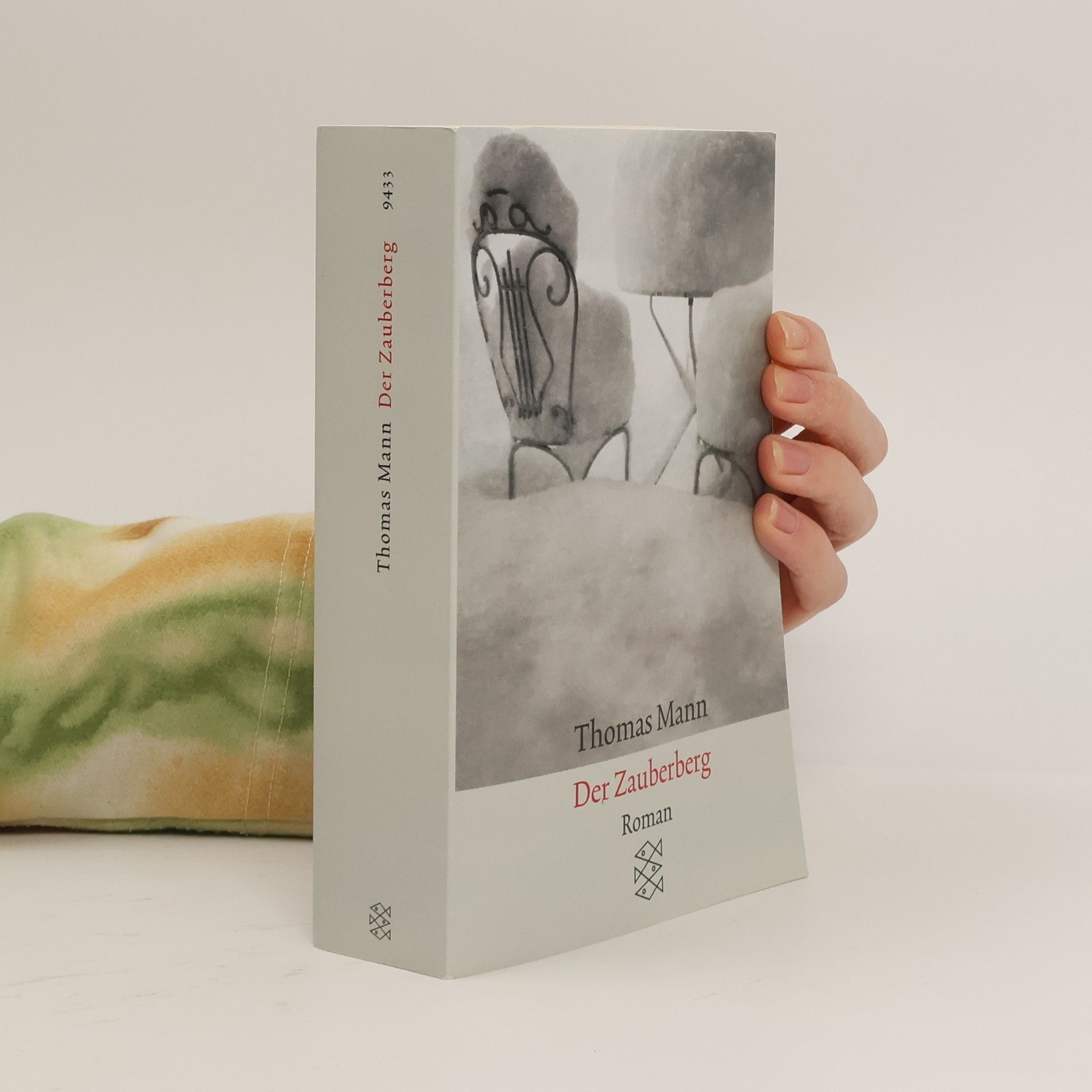 Thomas Mann Der Zauberberg